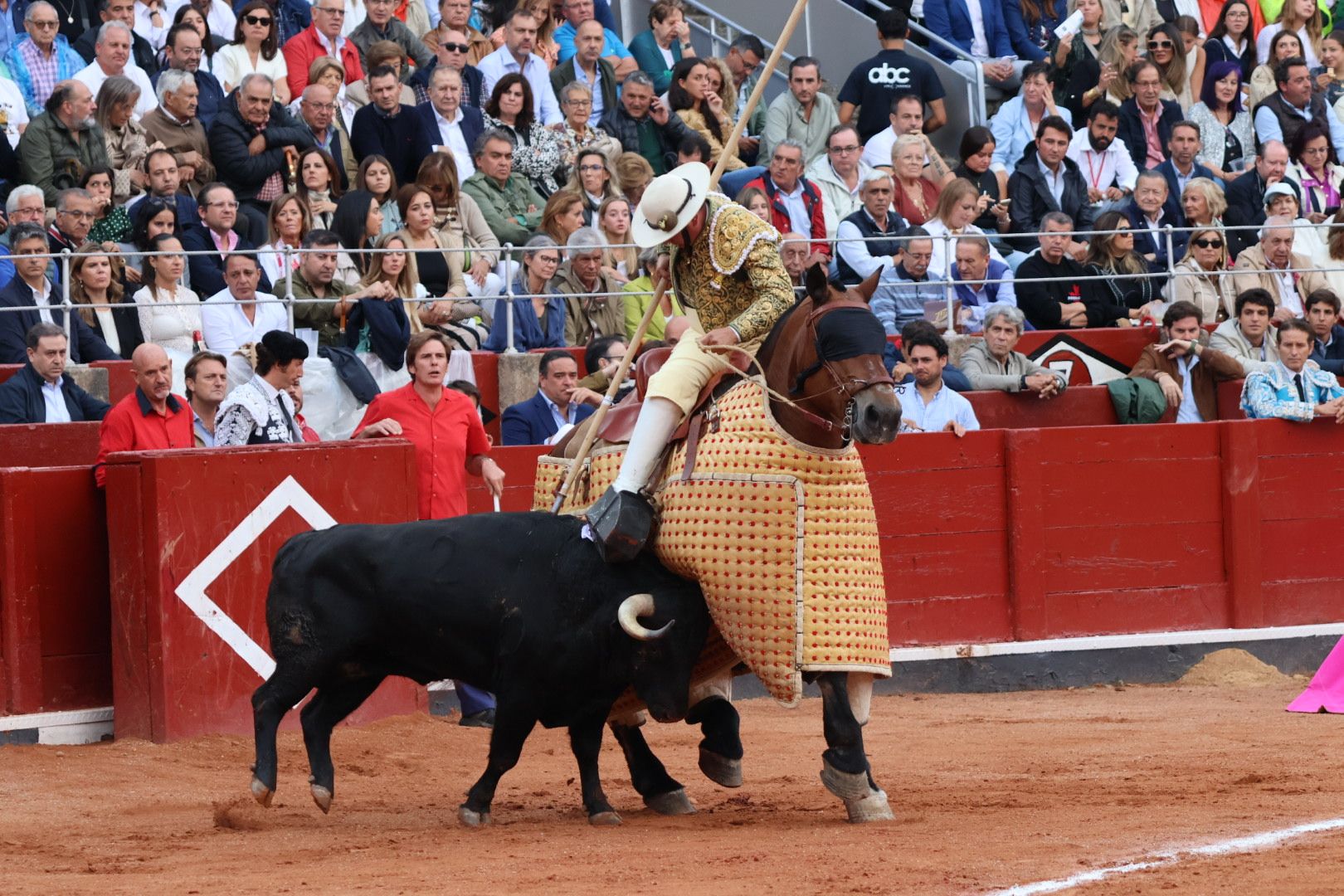 Querido de Garcigrande picado por Miguel Ángel Muñóz. Fotos Andrea M.