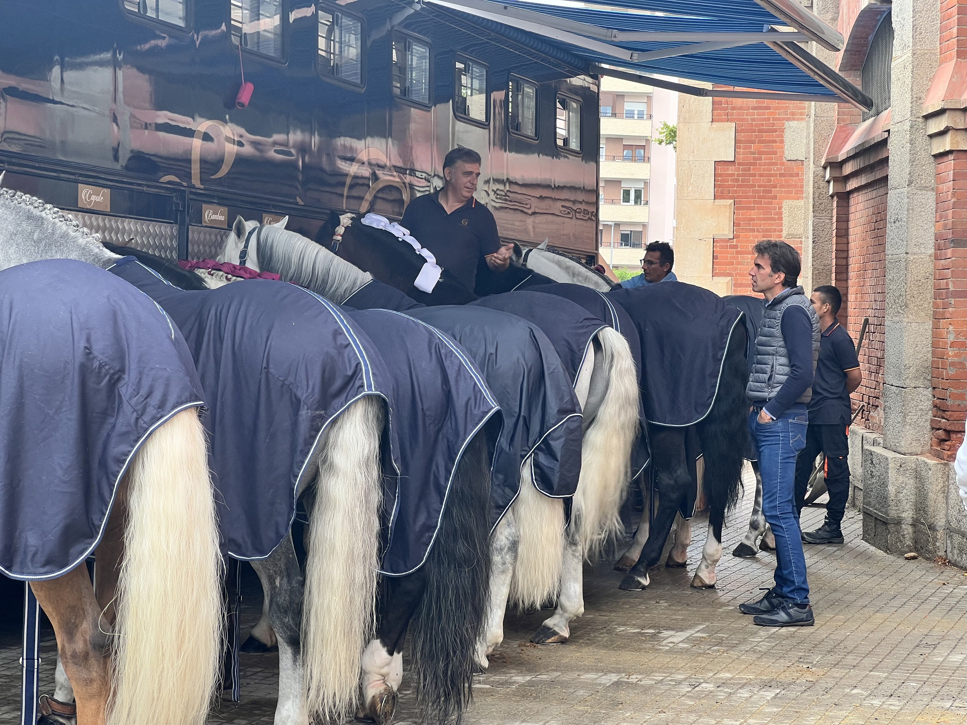 Ambiente durante el sorteo de los astado de rejones para este sábado, 21 de septiembre. Fotos S24H