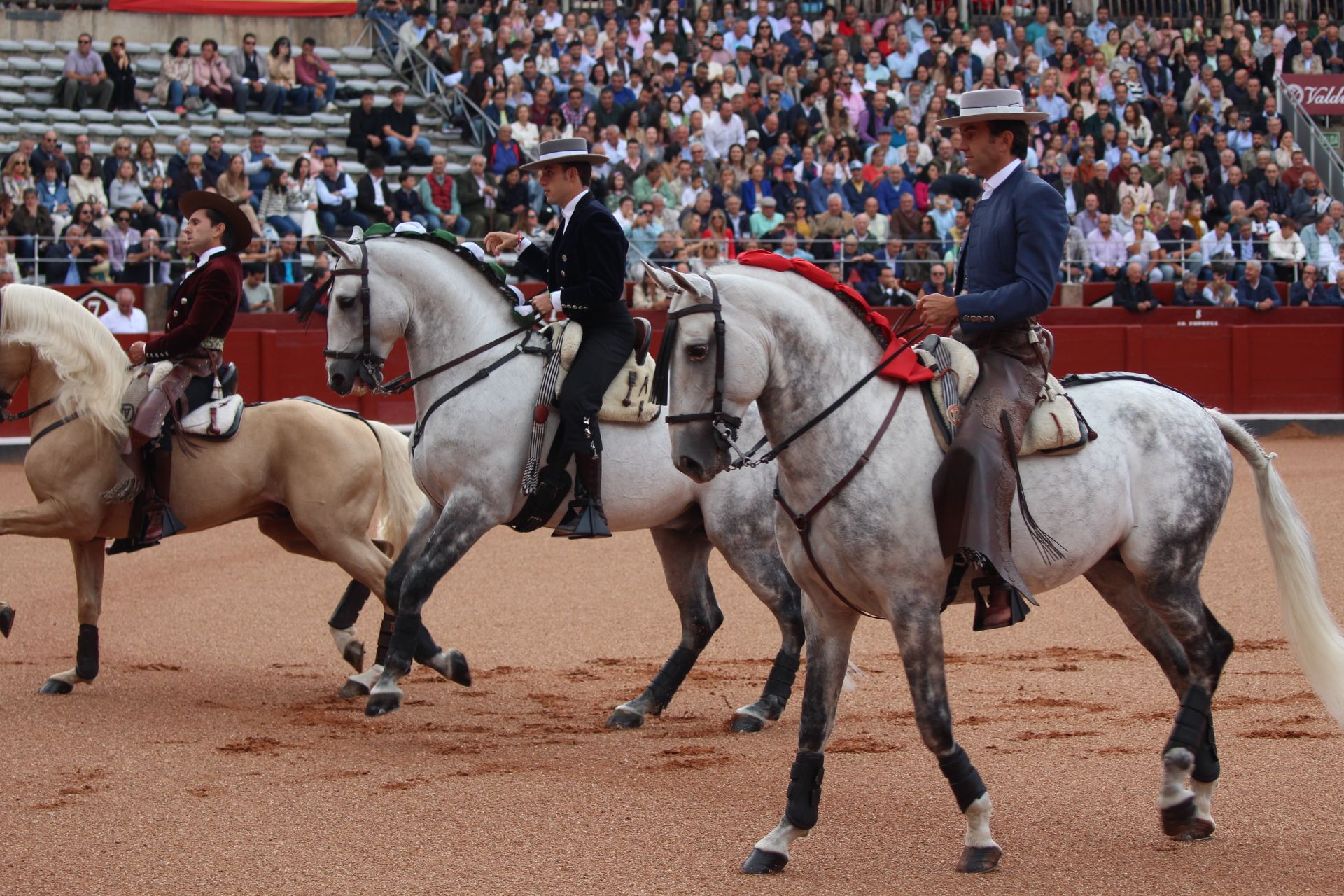 Corrida de rejones de Sánchez y Sánchez: momentos más destacados del quinto festejo de abono de la Feria Taurina Virgen de la Vega 2024. Fotos Carlos H.G