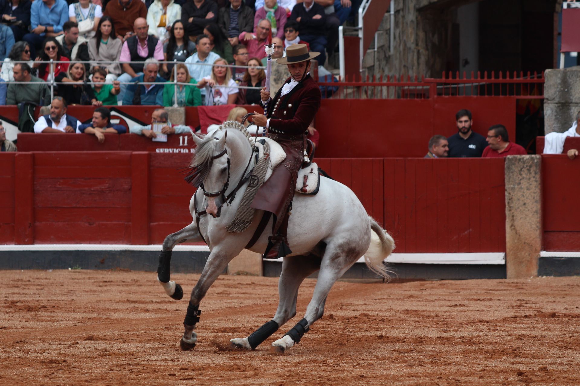 Diego Ventura, triunfador de la feria taurina 2024 con cuatro orejas en la corrida de rejones de Sánchez y Sánchez. Fotos Carlos H.G