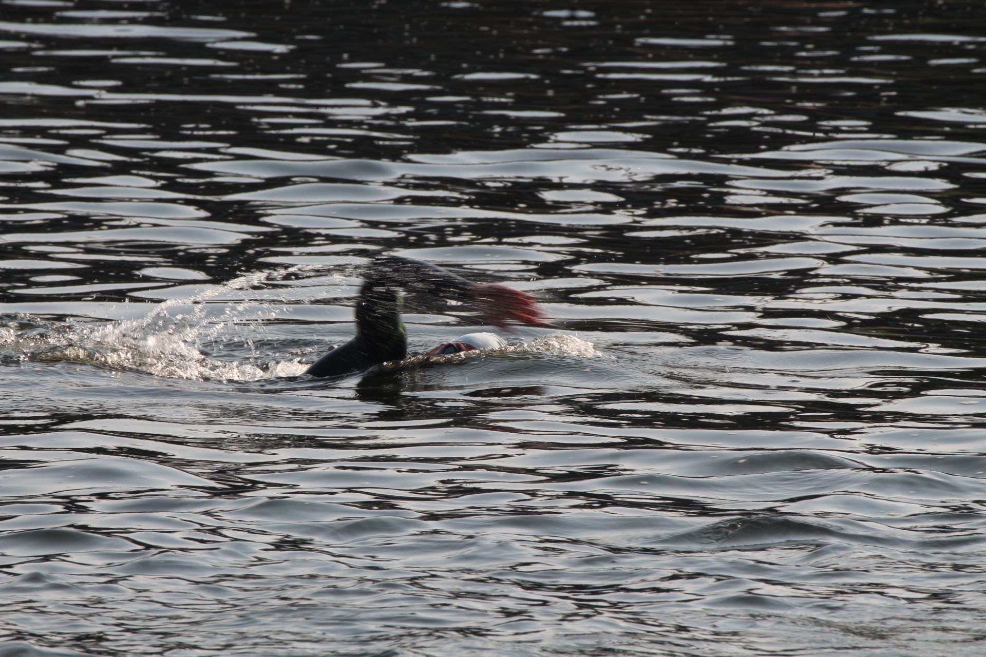 VI Triatlón Veracruz