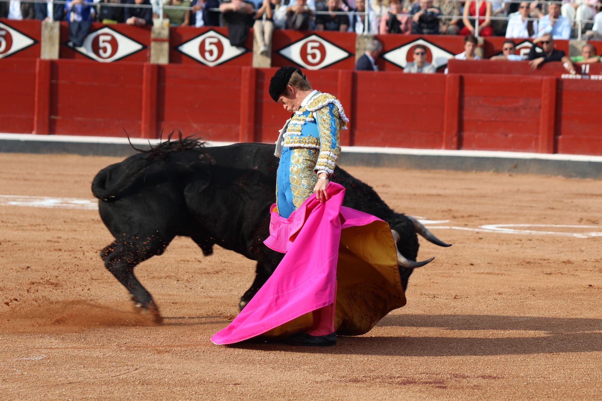 Corrida Concurso: momentos más destacados del último festejo de abono de la Feria Taurina Virgen de la Vega 2024. Fotos Carlos H.G