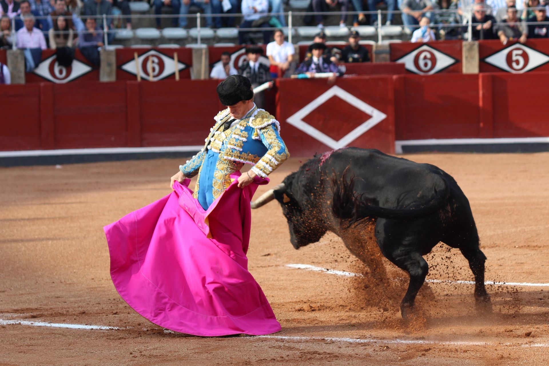 Corrida Concurso: momentos más destacados del último festejo de abono de la Feria Taurina Virgen de la Vega 2024. Fotos Carlos H.G