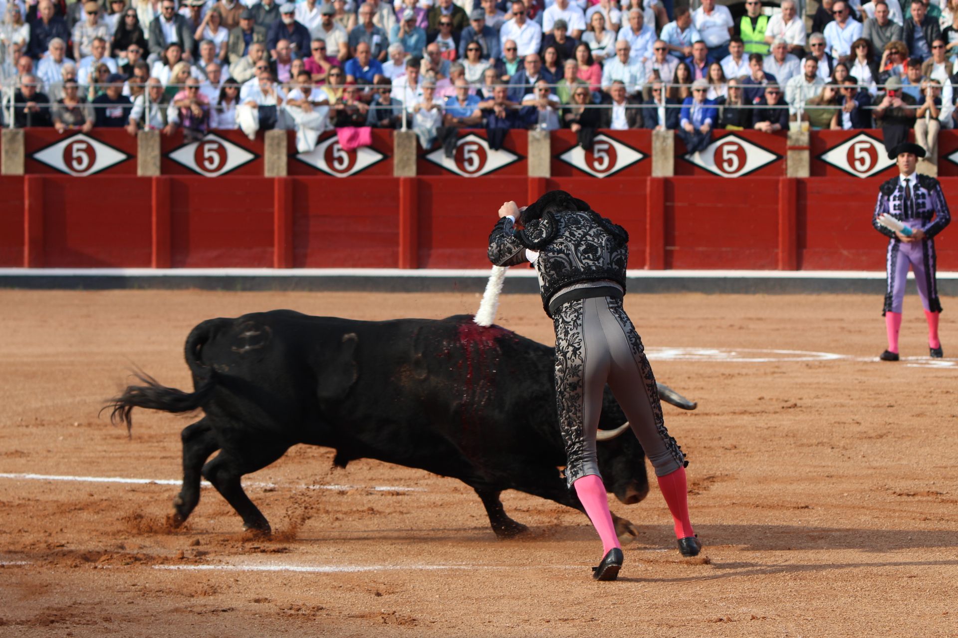 Corrida Concurso: momentos más destacados del último festejo de abono de la Feria Taurina Virgen de la Vega 2024. Fotos Carlos H.G