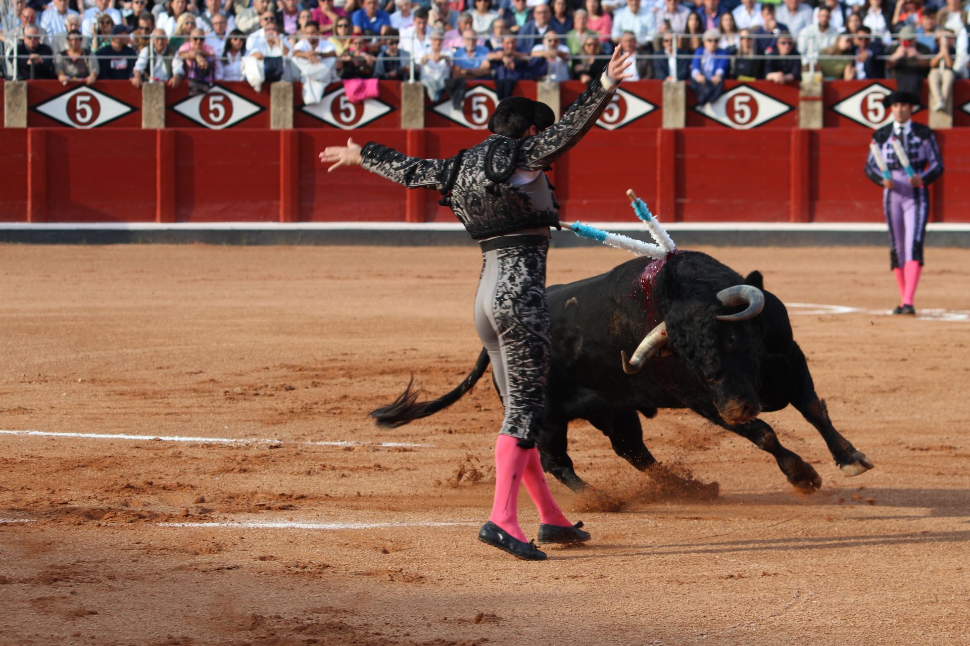 Corrida Concurso: momentos más destacados del último festejo de abono de la Feria Taurina Virgen de la Vega 2024. Fotos Carlos H.G