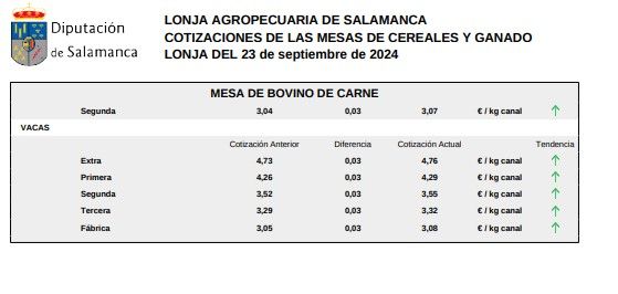 Mesa bovino de carne 1 23 septiembre 24