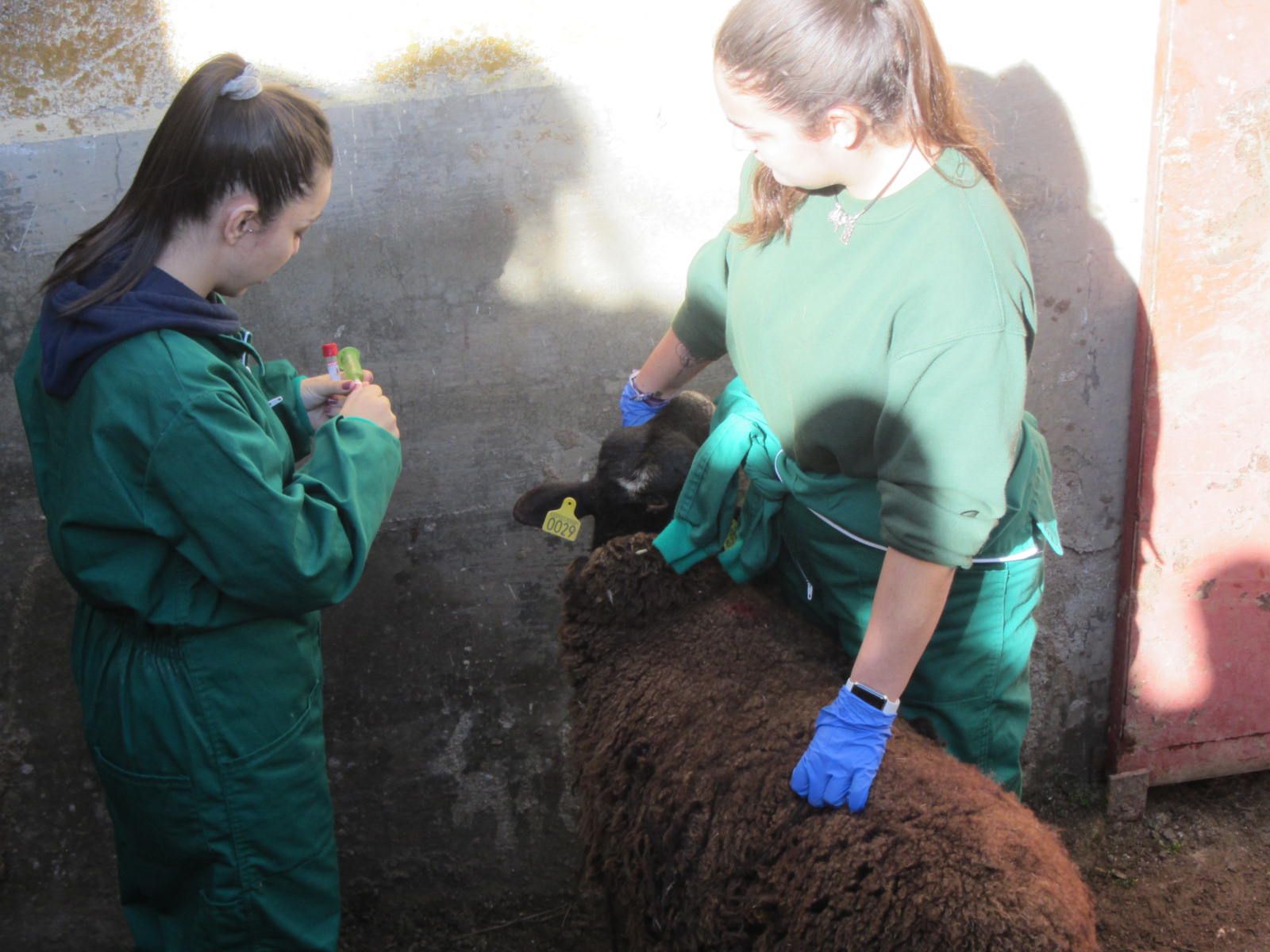 Prácticas alumnos de Ganadería y Asistencia en Sanidad Animal. Agrarias. IES Torres Villarroel 