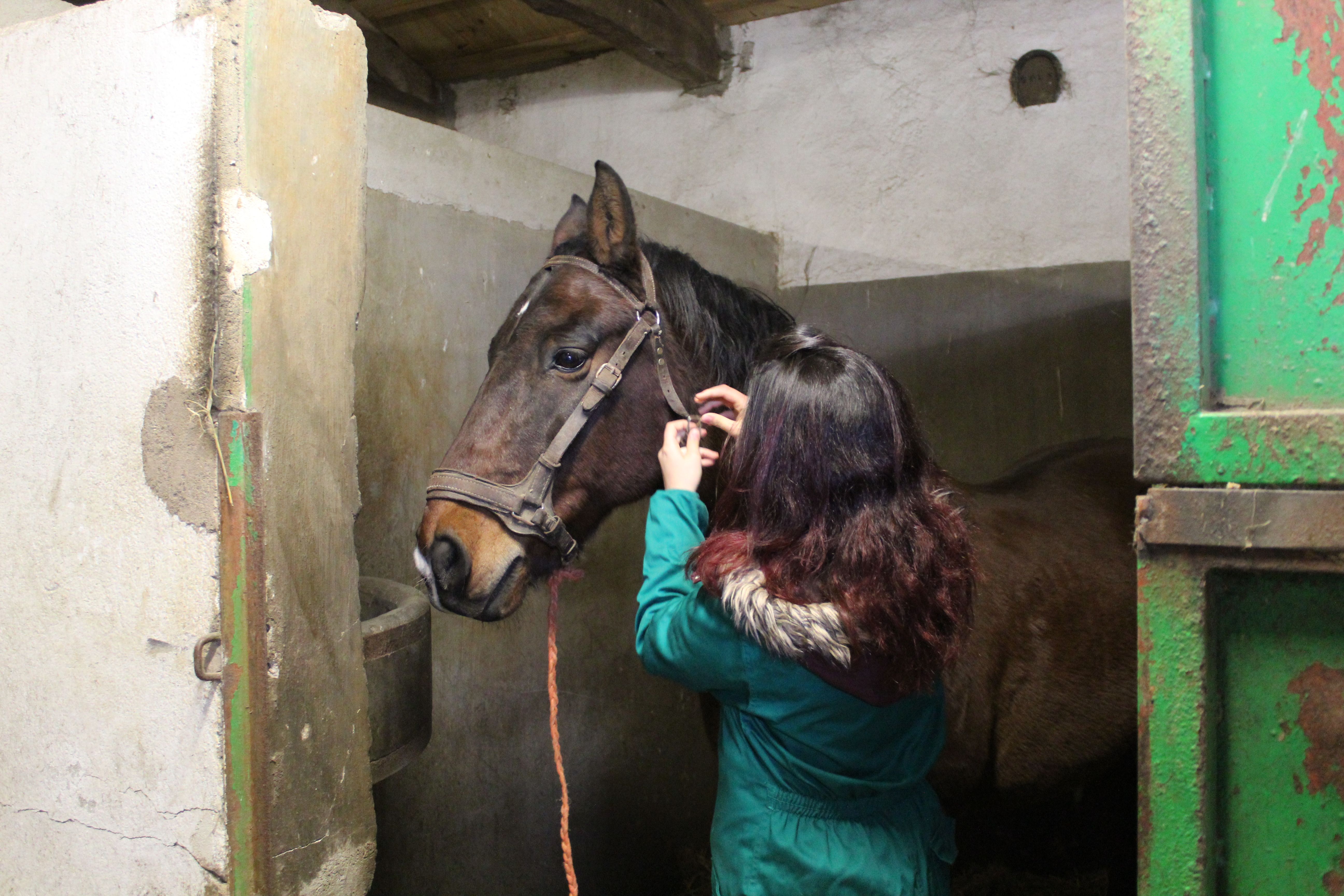 Prácticas alumnos de Ganadería y Asistencia en Sanidad Animal. Agrarias. IES Torres Villarroel 