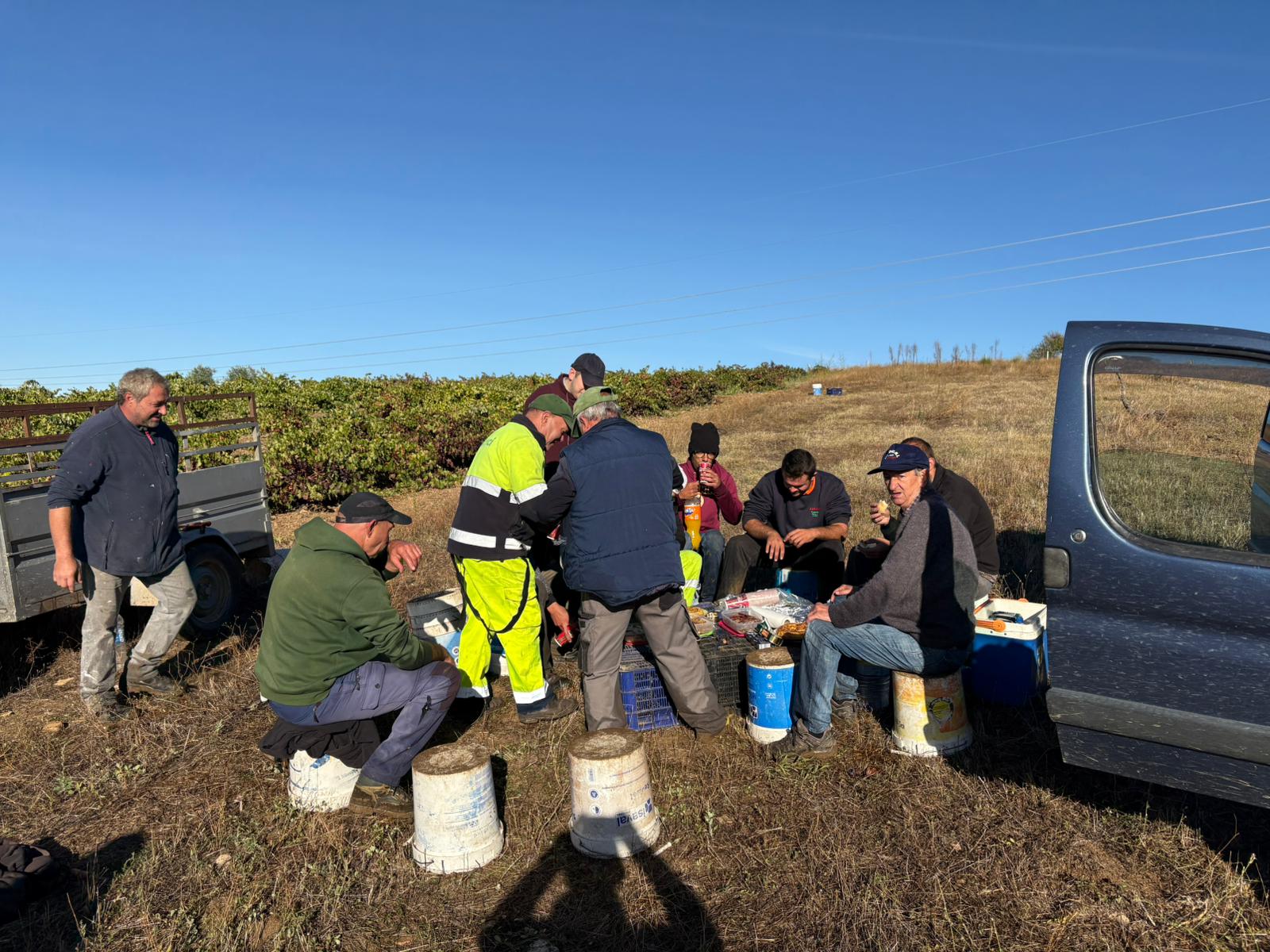 Vendimia en Arribes del Duero 