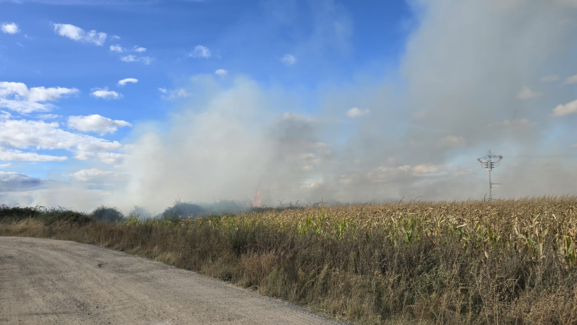  Incendio en unos solares de Santa Marta  (5)