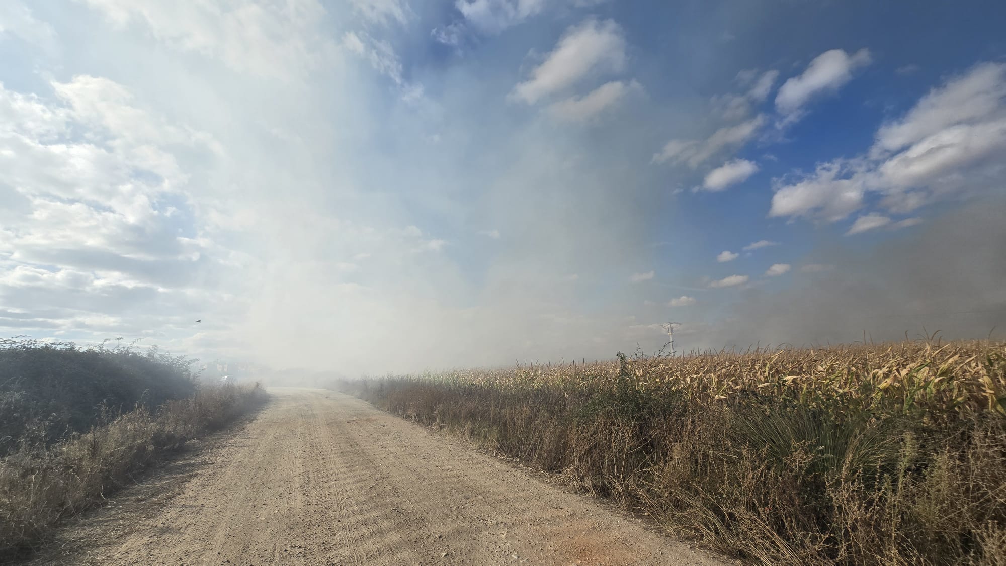  Incendio en unos solares de Santa Marta  (3)