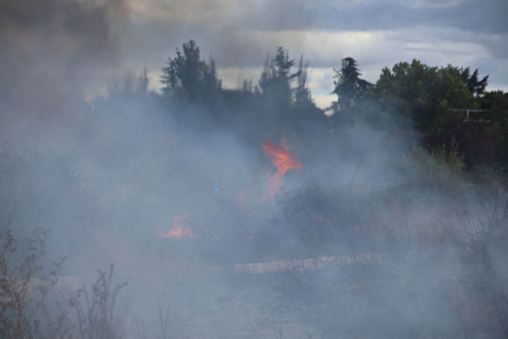 Incendio en unos solares de Santa Marta 