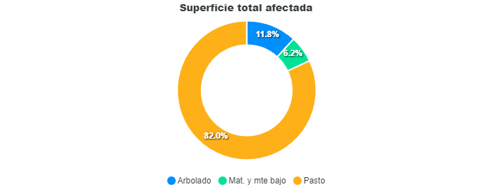 Superficie total afectada en Salamanca de enero a octubre de 2024.Gráfico INFOCAL