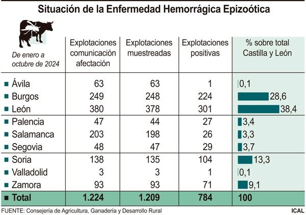 Enfermedad epizoótica en Castilla y León 