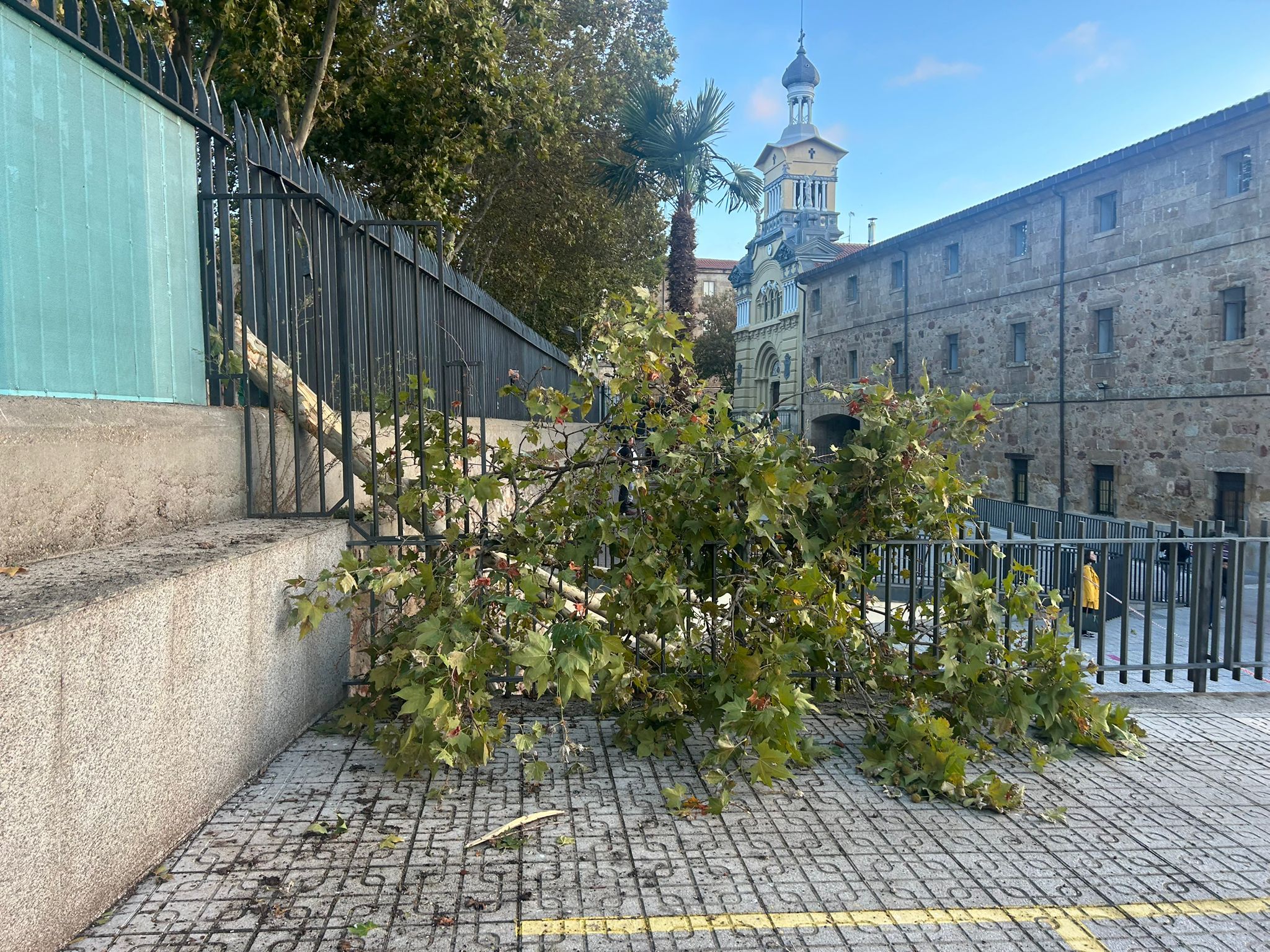 Árboles caídos en la avenida de los reyes de España 