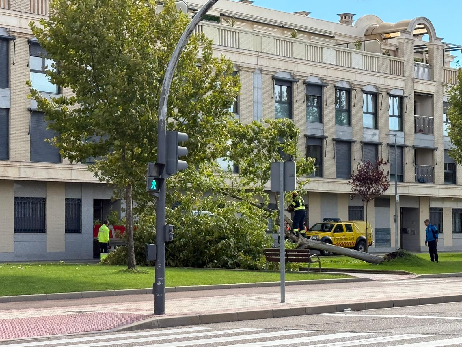 Protección civil actuando en un árbol caído en la avenida de la Serna en Santa Marta de Tormes