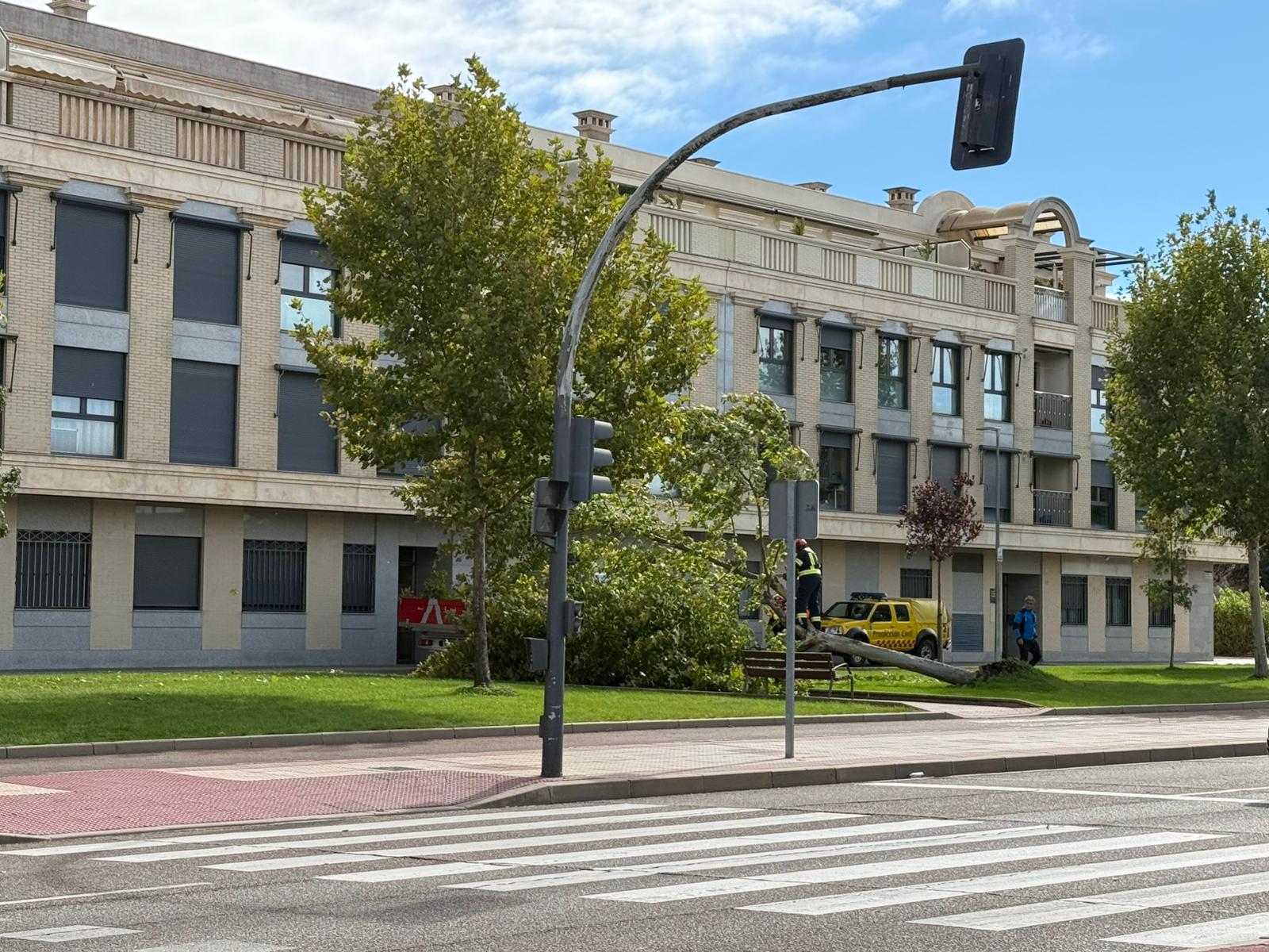 Protección civil actuando en un árbol caído en la avenida de la Serna en Santa Marta de Tormes