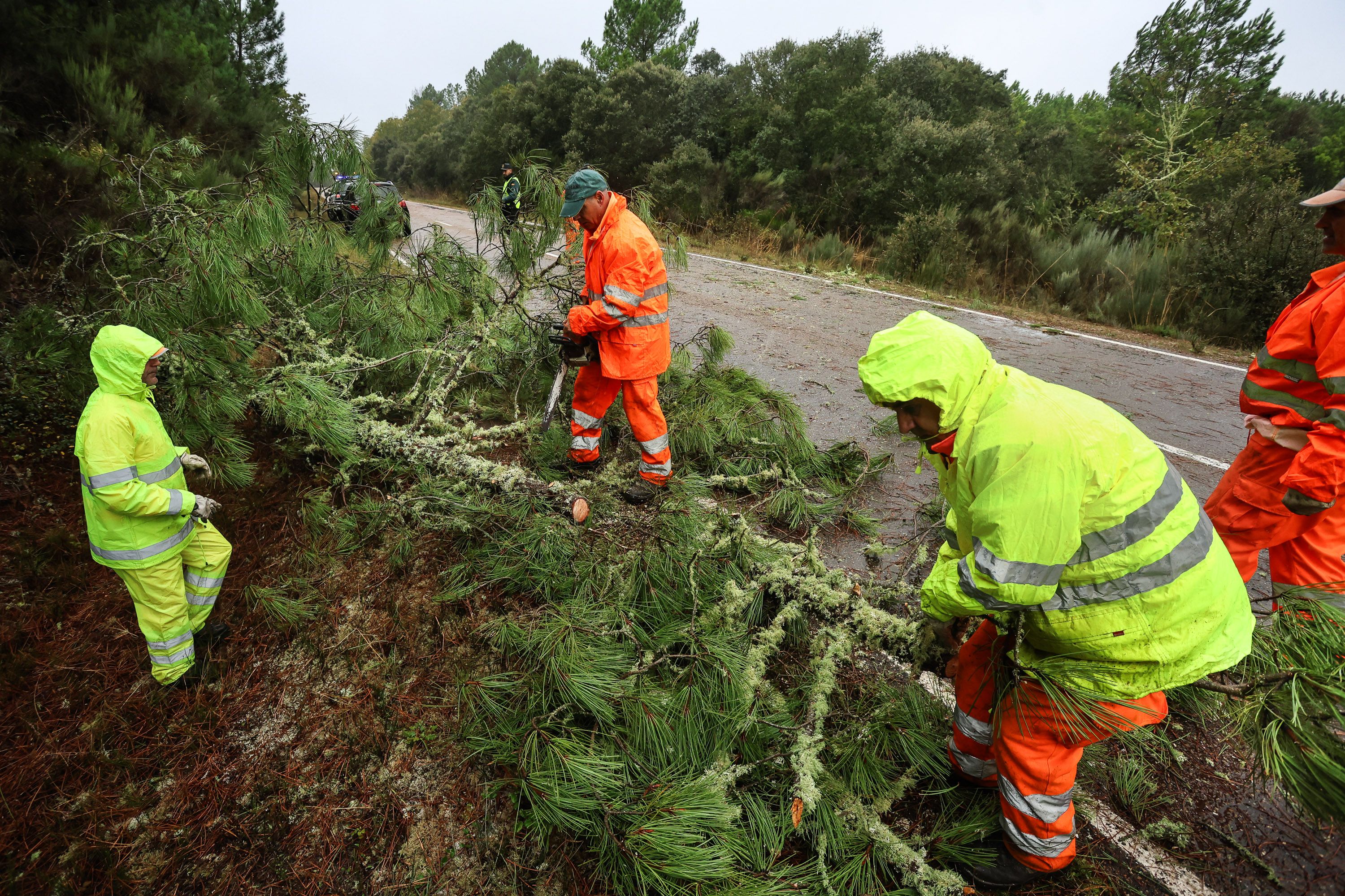 Operarios del servicio de mantenimiento de carreteras retiran varios árboles caídos en la carretera que une Fuenteguinaldo con Navasfrías - Vicente (ICAL)