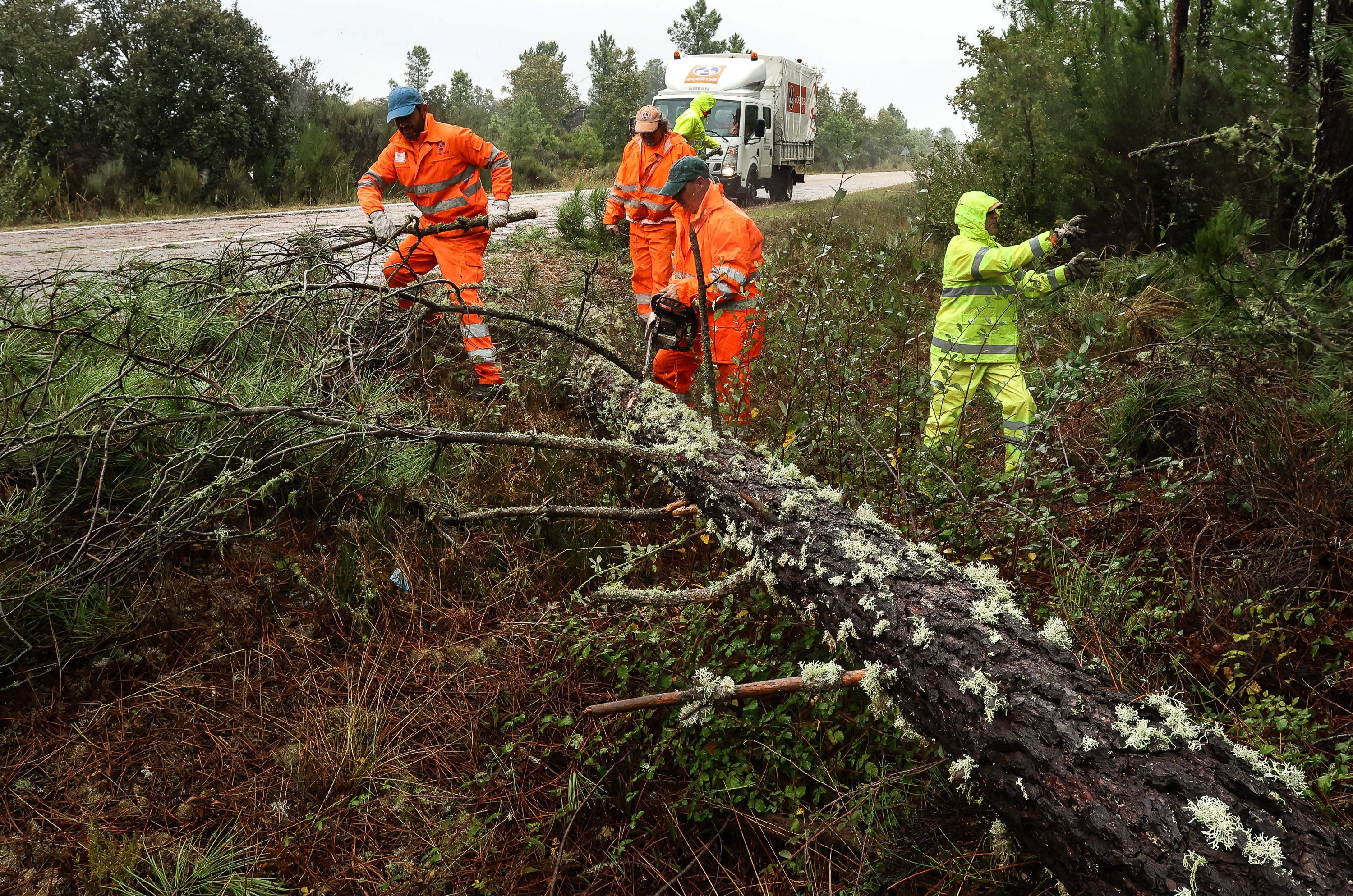  Operarios del servicio de mantenimiento de carreteras retiran varios árboles caídos en la carretera que une Fuenteguinaldo con Navasfrías - Vicente (ICAL)