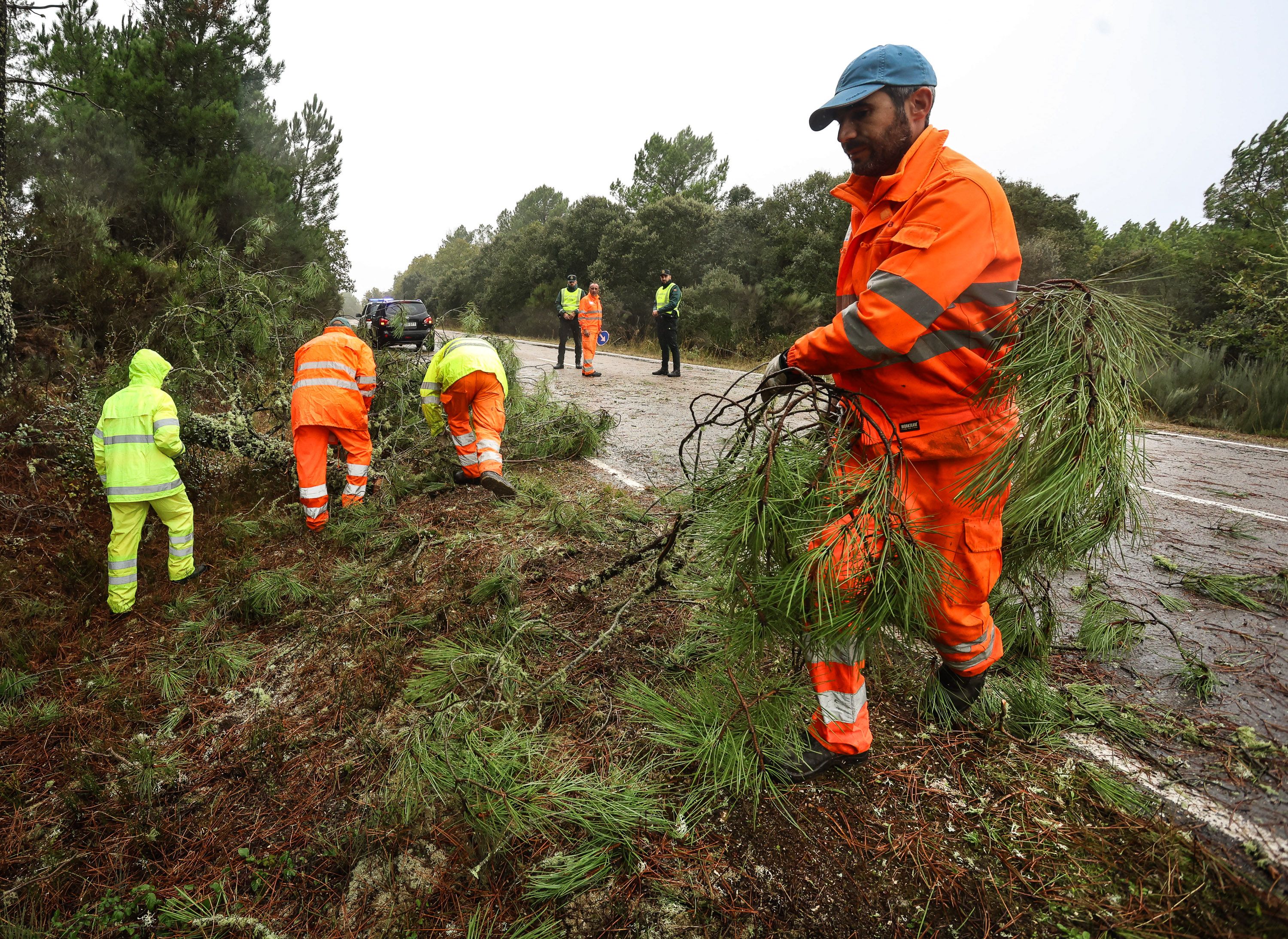  Operarios del servicio de mantenimiento de carreteras retiran varios árboles caídos en la carretera que une Fuenteguinaldo con Navasfrías - Vicente (ICAL)