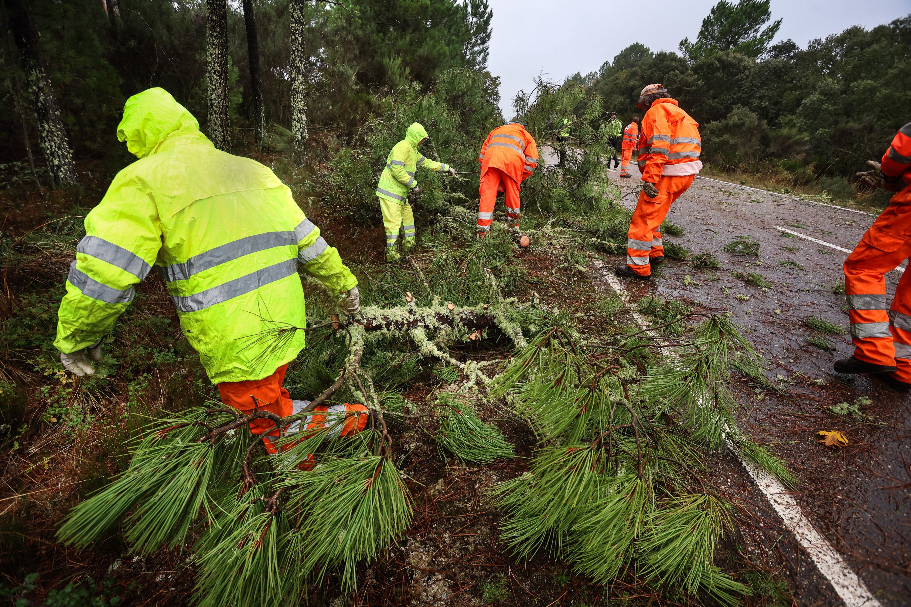  Operarios del servicio de mantenimiento de carreteras retiran varios árboles caídos en la carretera que une Fuenteguinaldo con Navasfrías - Vicente (ICAL)