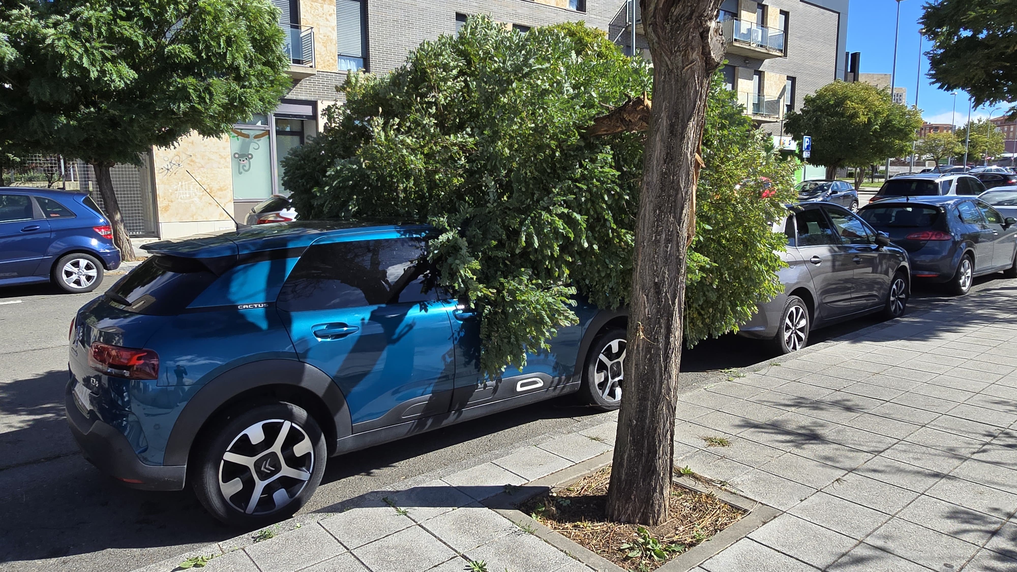  Incidencias provocadas por el viento en Salamanca