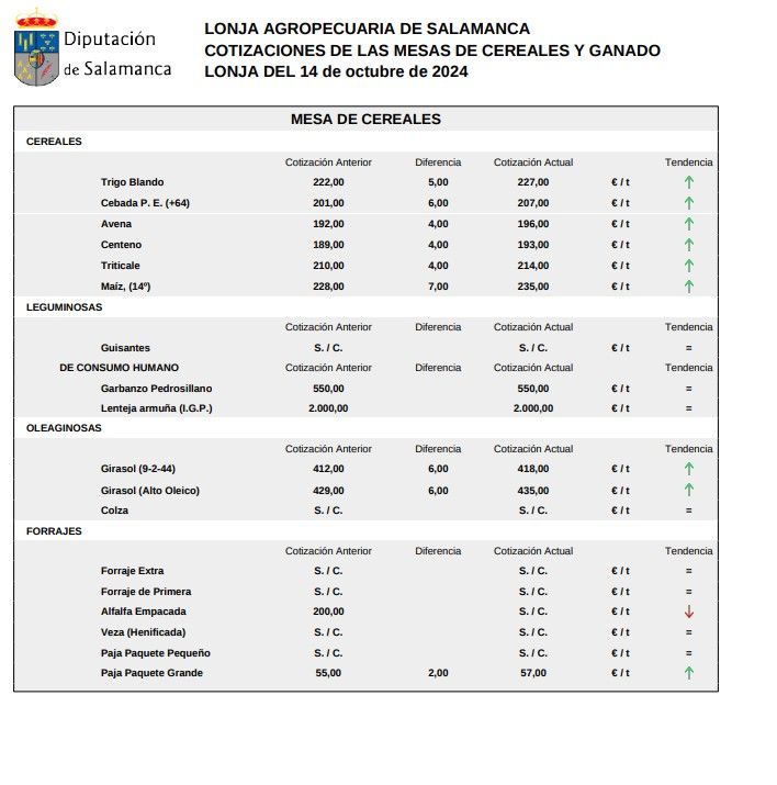 Mesa de cereales 24 octubre 2024