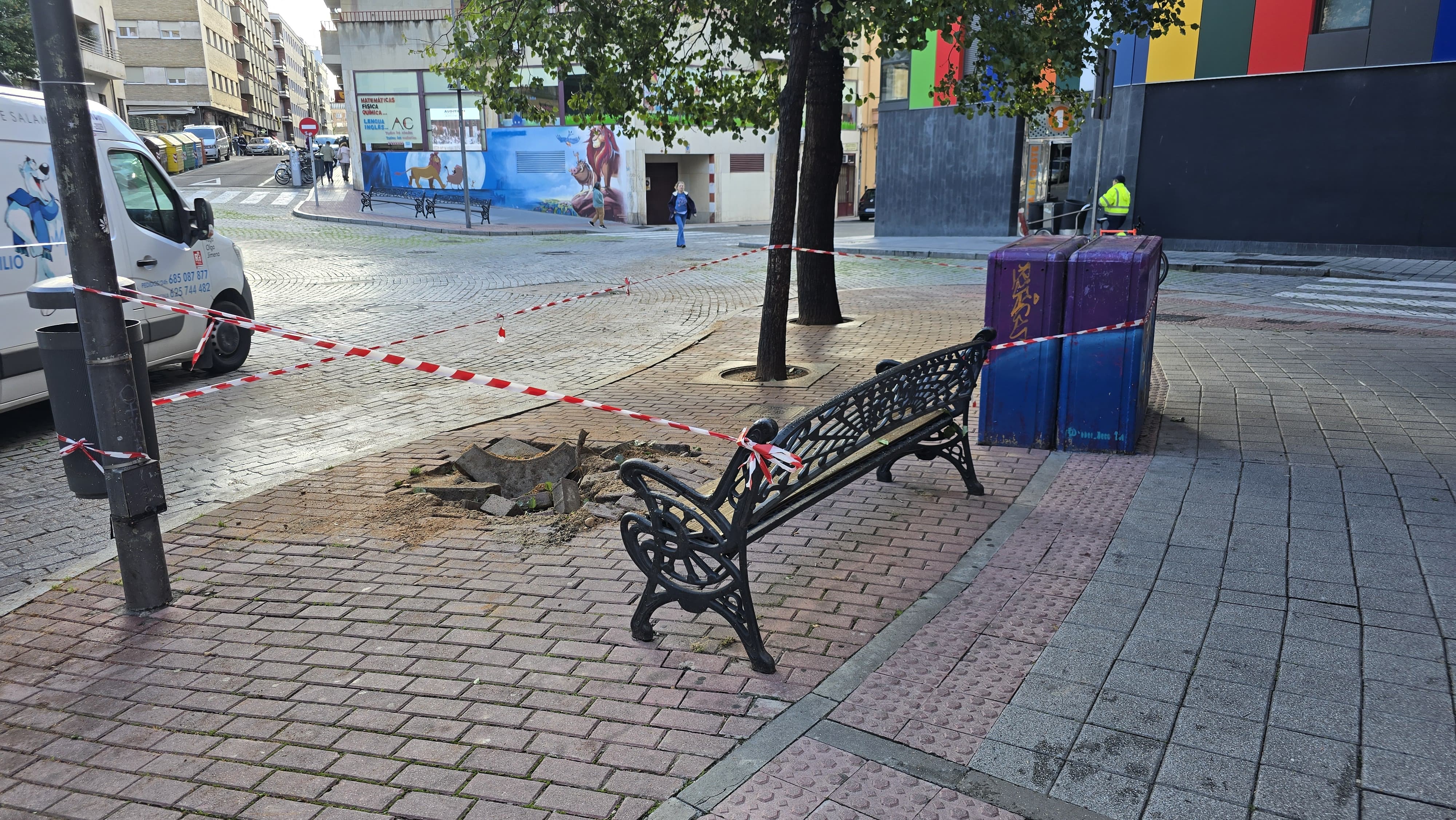 Comienza la retirada de los doce árboles de la plaza del Oeste (3)