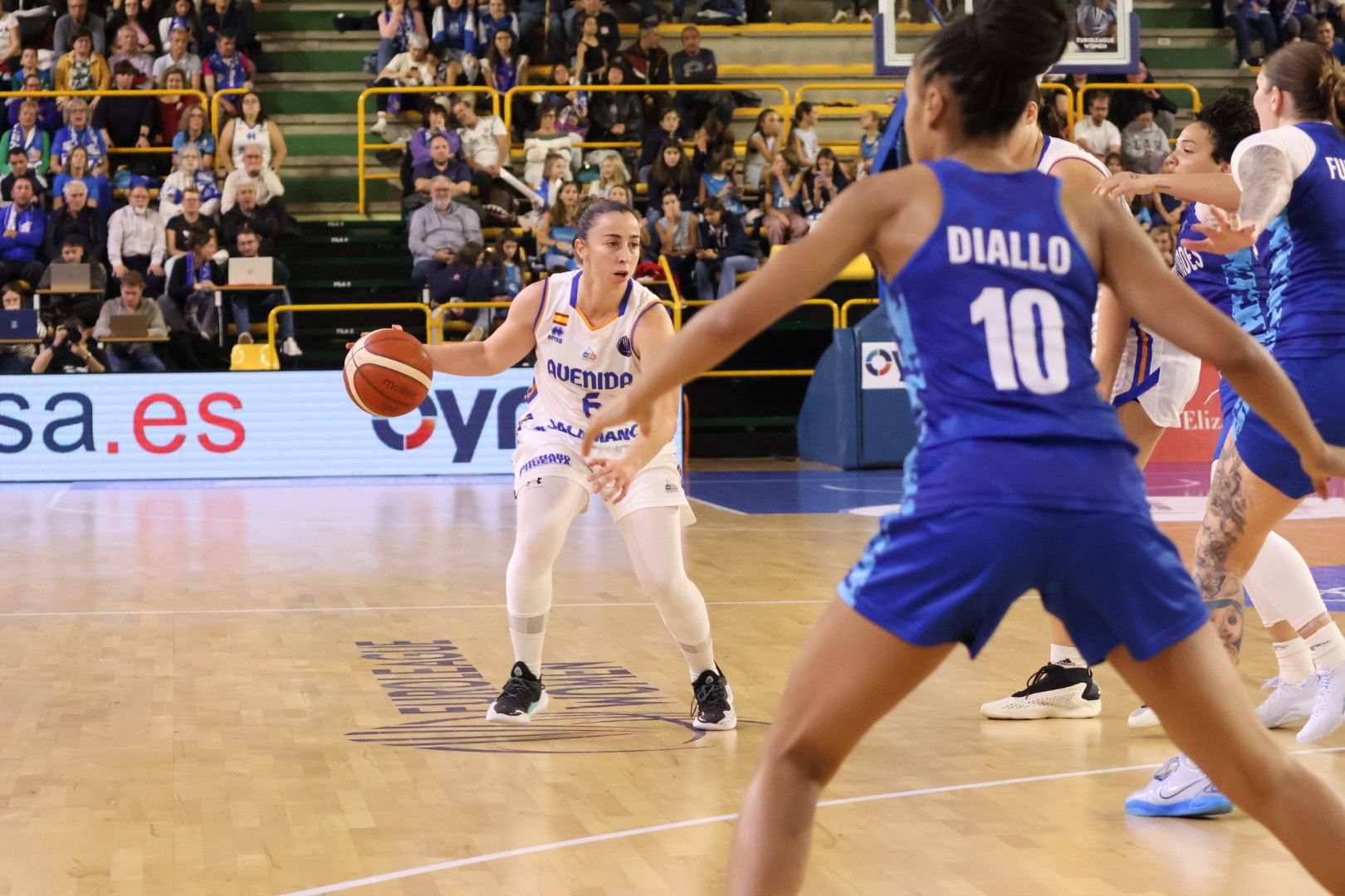 Perfumerías Avenida - Basket Landes