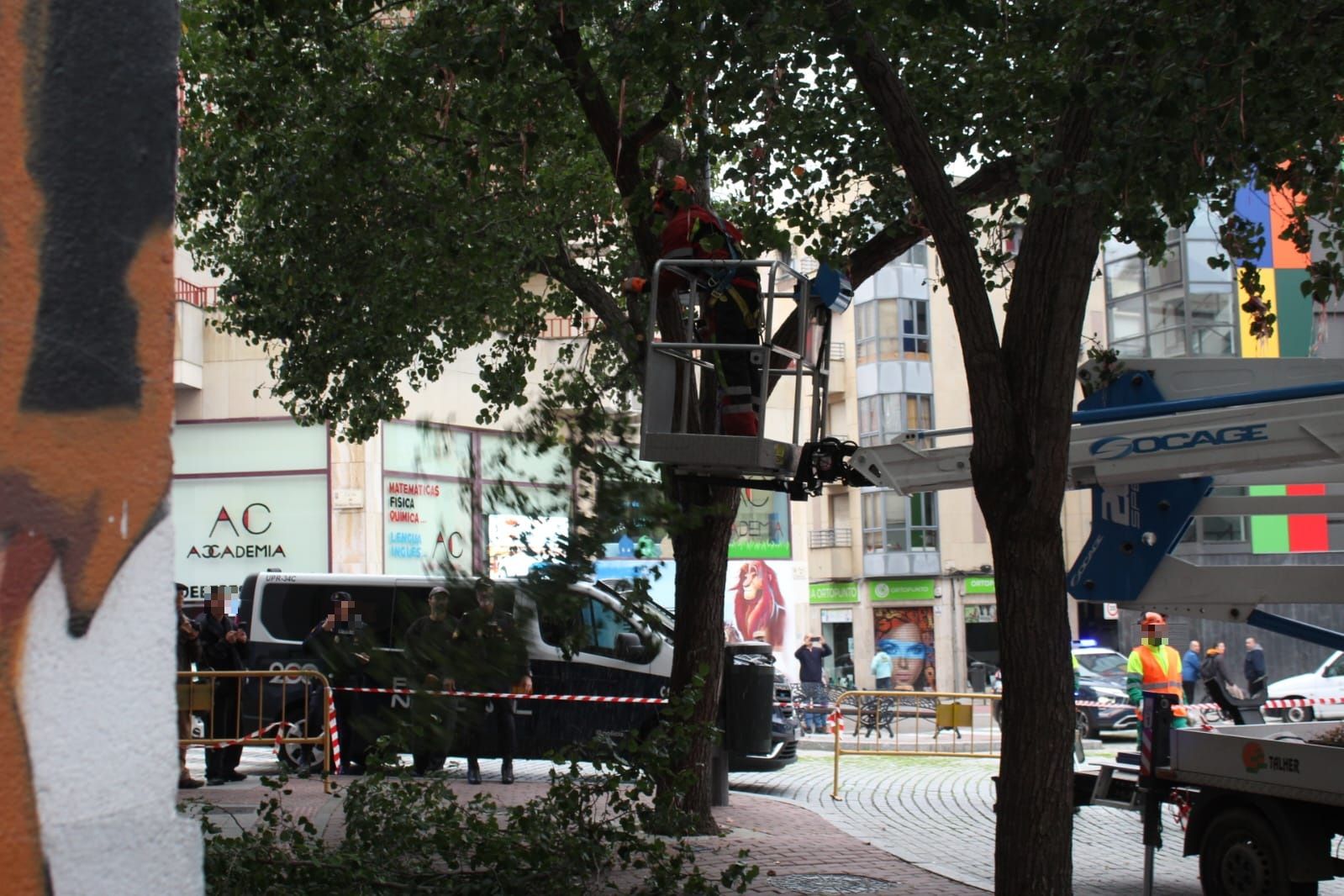 Un detenido en las protestas por la tala de árboles en la plaza del Oeste