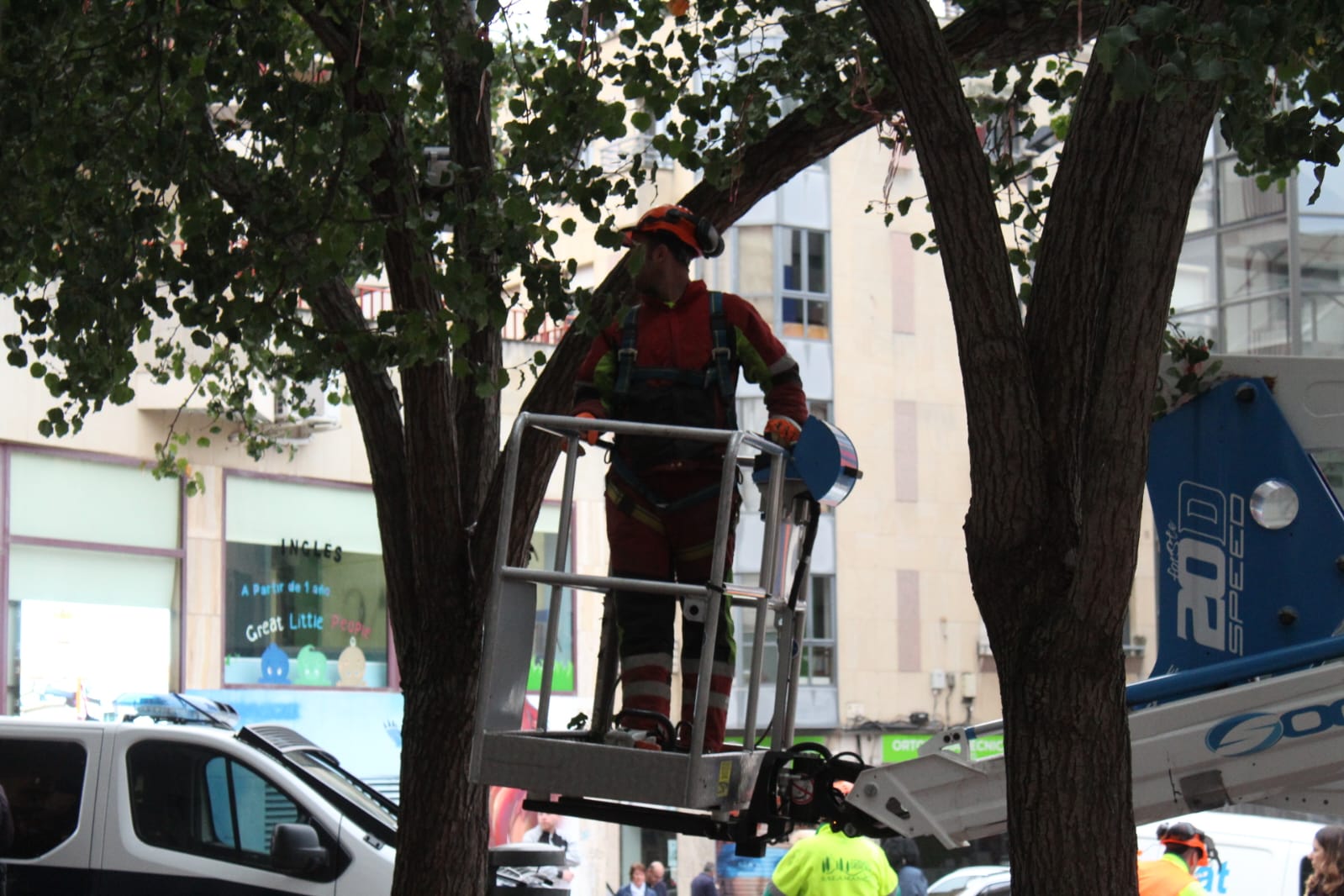 Un detenido en las protestas por la tala de árboles en la plaza del Oeste