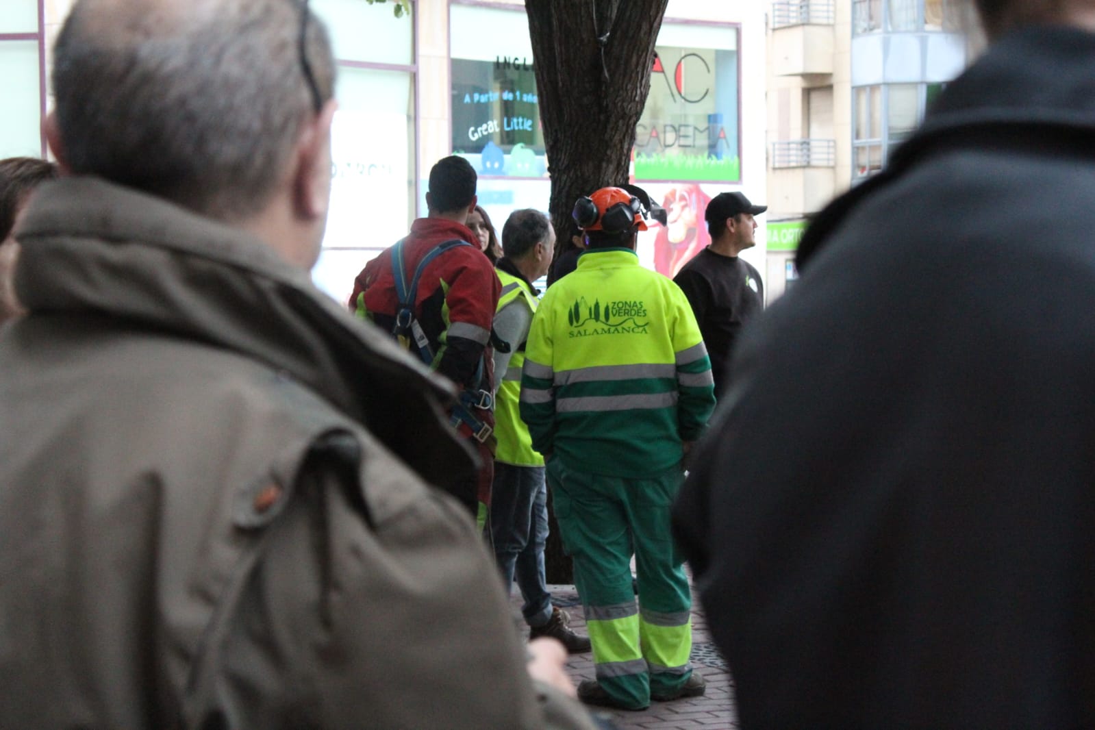 Un detenido en las protestas por la tala de árboles en la plaza del Oeste