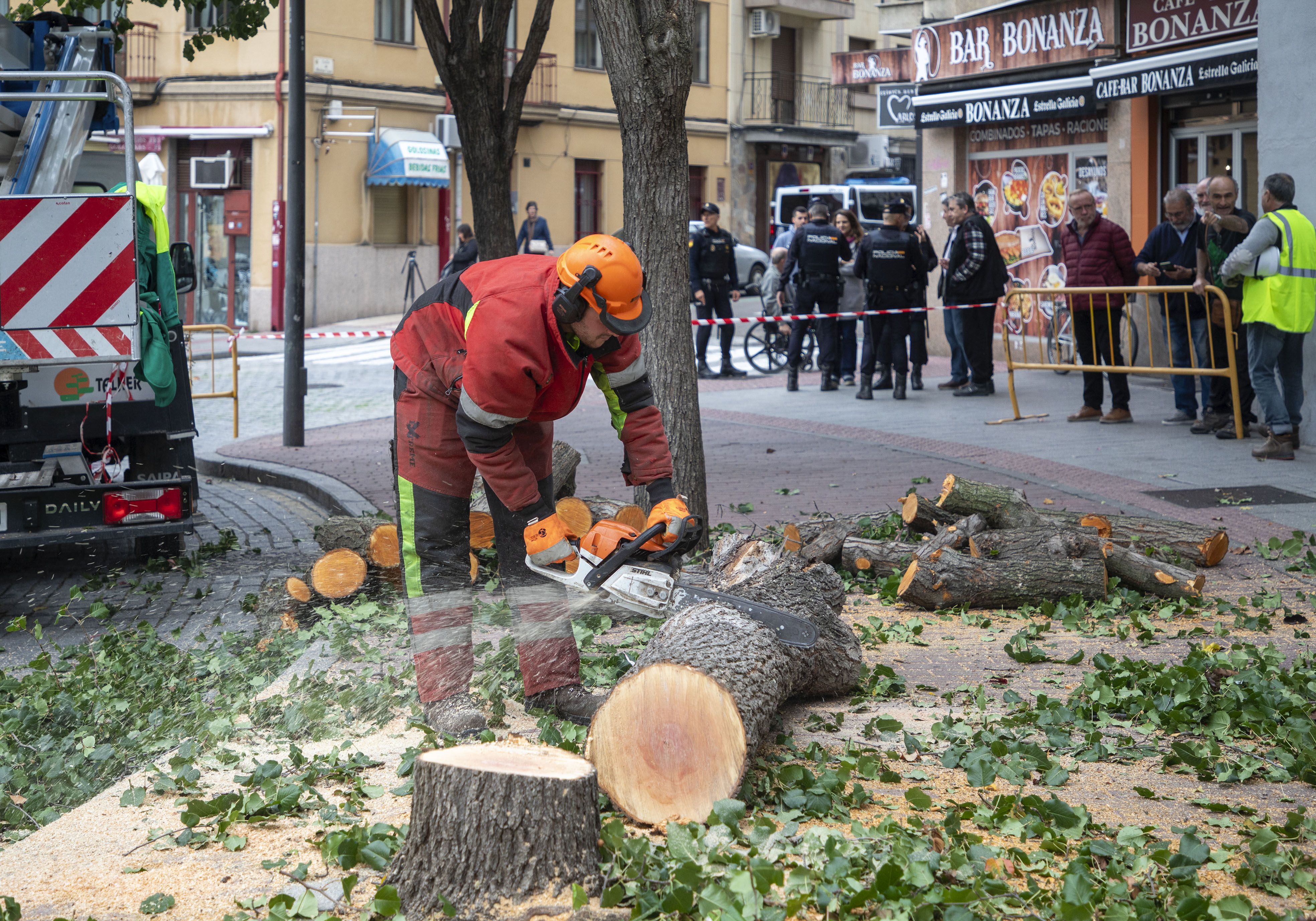 Tala de árboles en la plaza del Oeste de Salamanca - Susana Martín (ICAL)