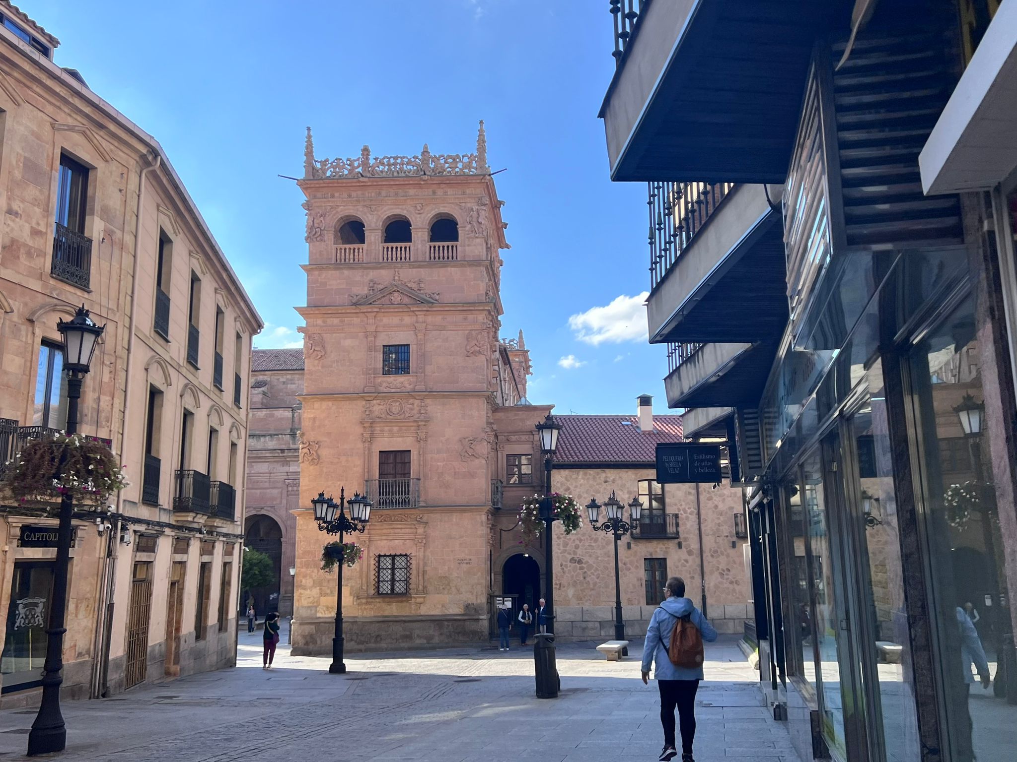 Palacio de Monterrey 