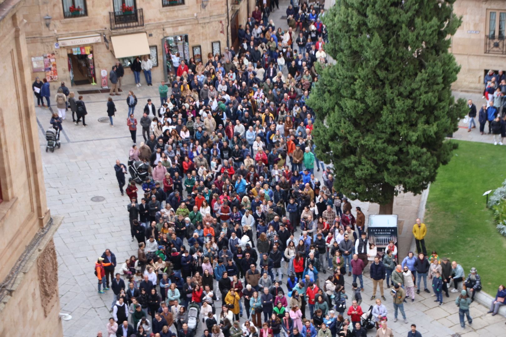 Subida del Mariquelo a la Catedral