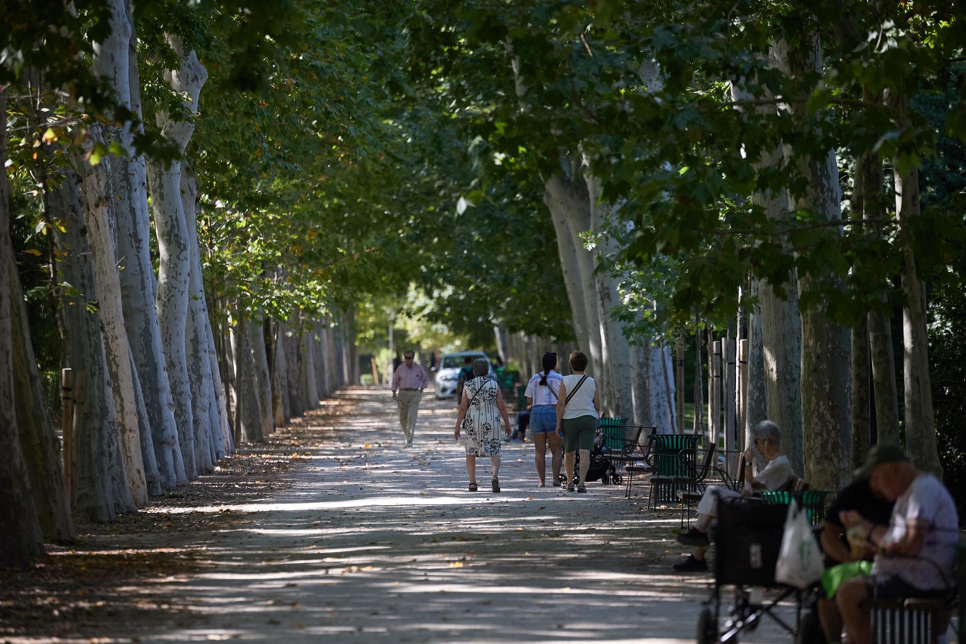 Vista general de una de las zonas del Parque de El Retiro, en Madrid. Foto Jesús Hellín - Europa Press 