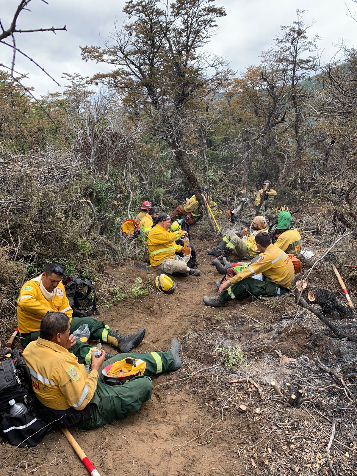 GALERÍA | Apagar incendios forestales por todo el mundo de forma altruista, la misión de un salmantino