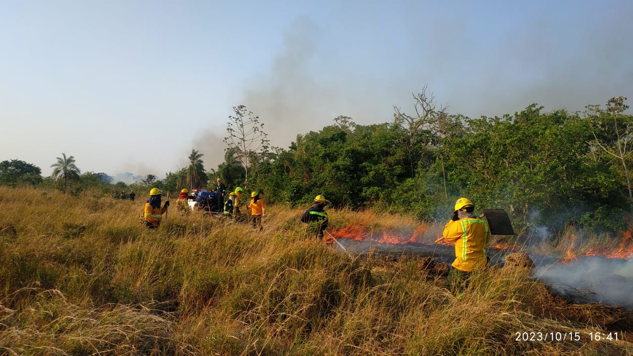 GALERÍA | Apagar incendios forestales por todo el mundo de forma altruista, la misión de un salmantino