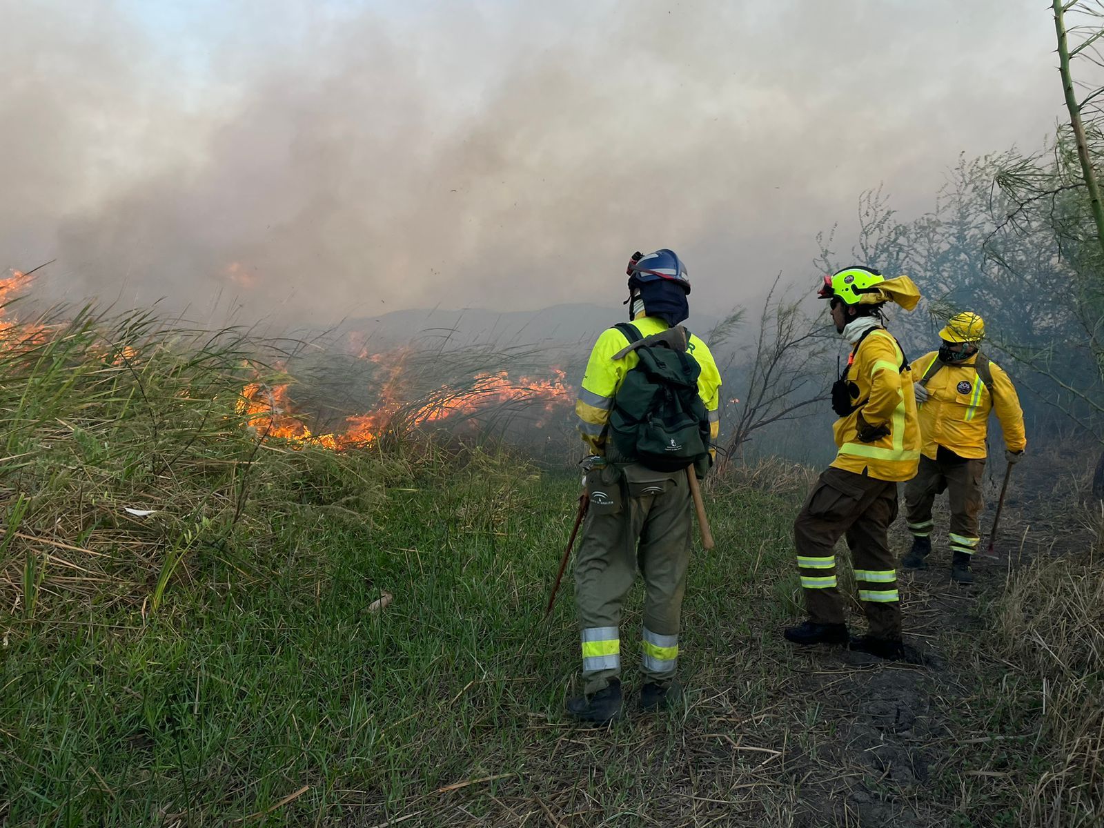 GALERÍA | Apagar incendios forestales por todo el mundo de forma altruista, la misión de un salmantino