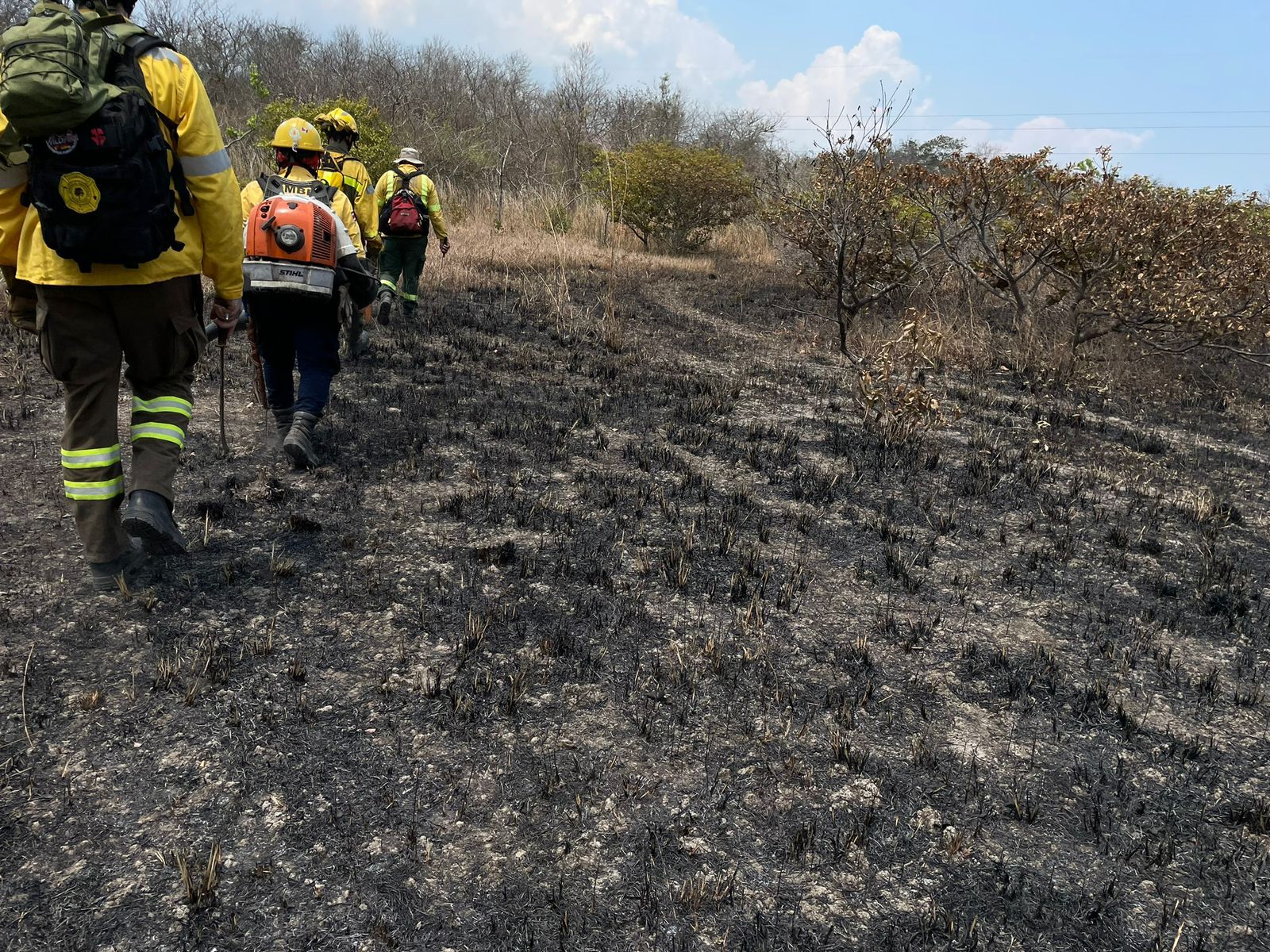 GALERÍA | Apagar incendios forestales por todo el mundo de forma altruista, la misión de un salmantino