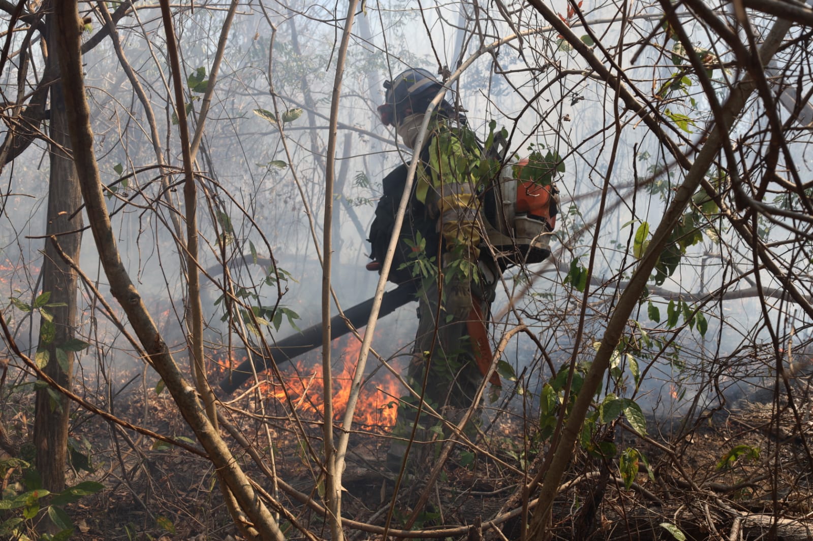 GALERÍA | Apagar incendios forestales por todo el mundo de forma altruista, la misión de un salmantino