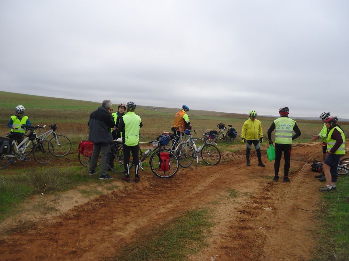 Amigos de la Bici de Salamanca. Plantación de bellotas