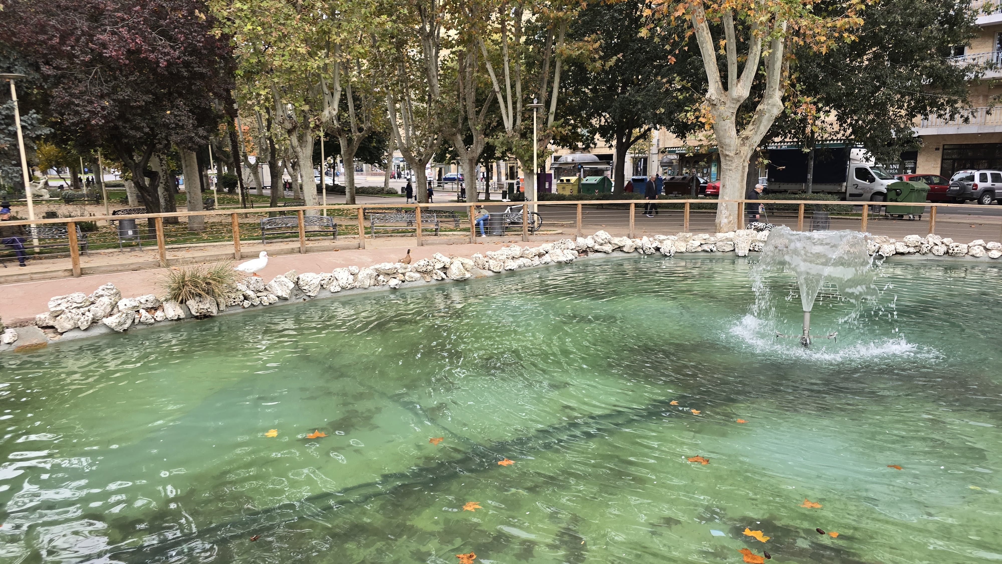  Los patos vuelven a La Alamedilla (5)