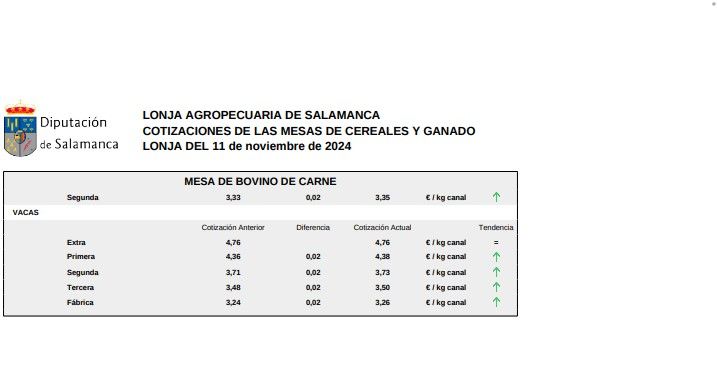 Mesa bovino de carne lonja 11 noviembre 2024  1 