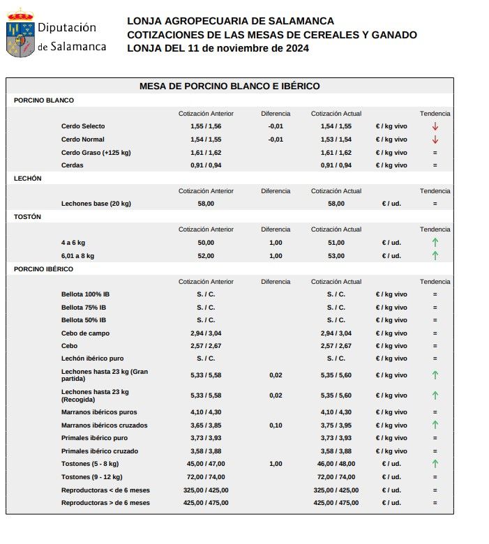 Mesa porcino blanco e ibérico lonja 11 noviembre 2024
