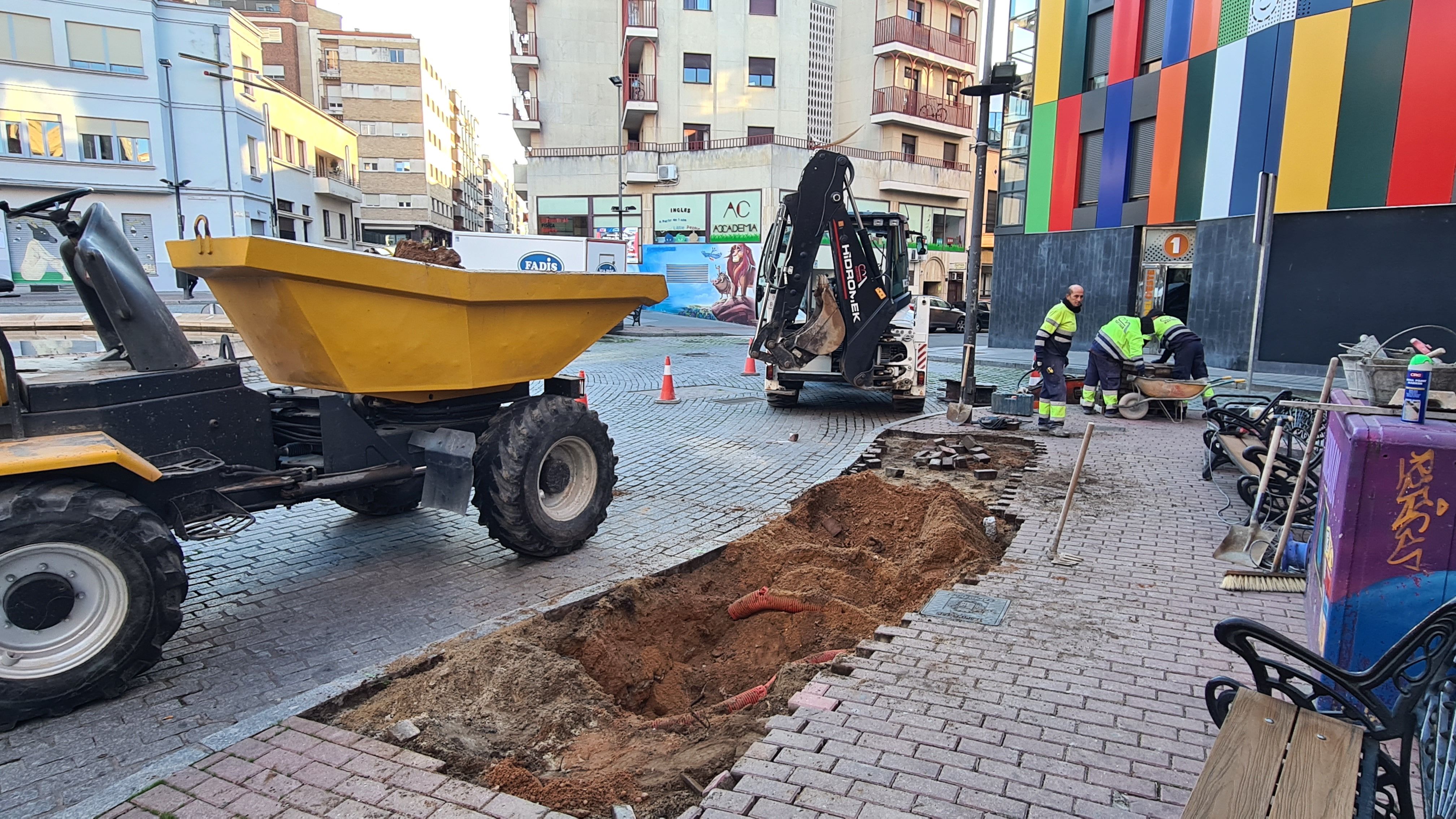 Plaza del Oeste, reposiciones de árboles. Foto Ayuntamiento de Salamanca