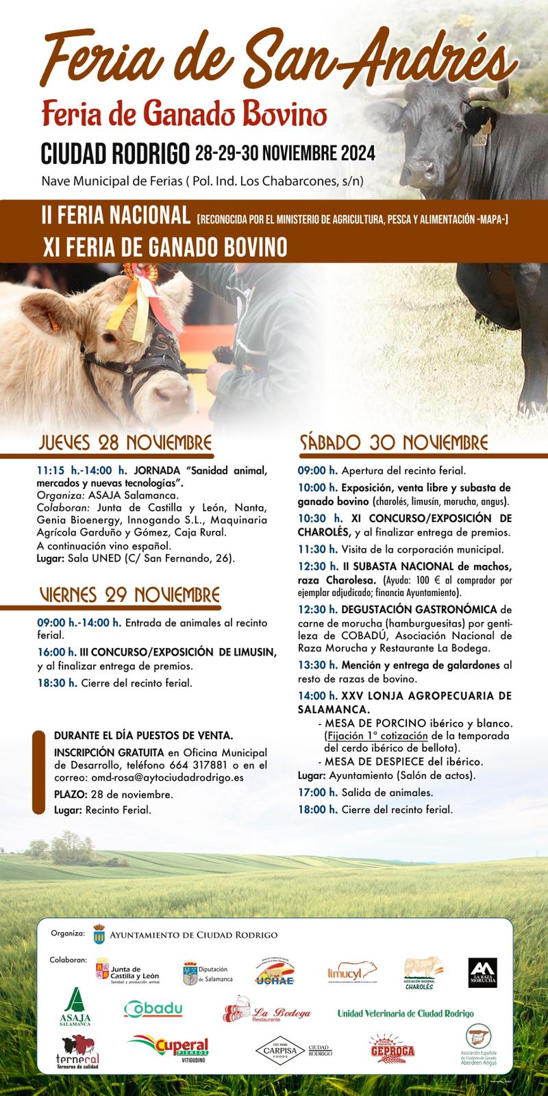 Cartel Feria San Andrés