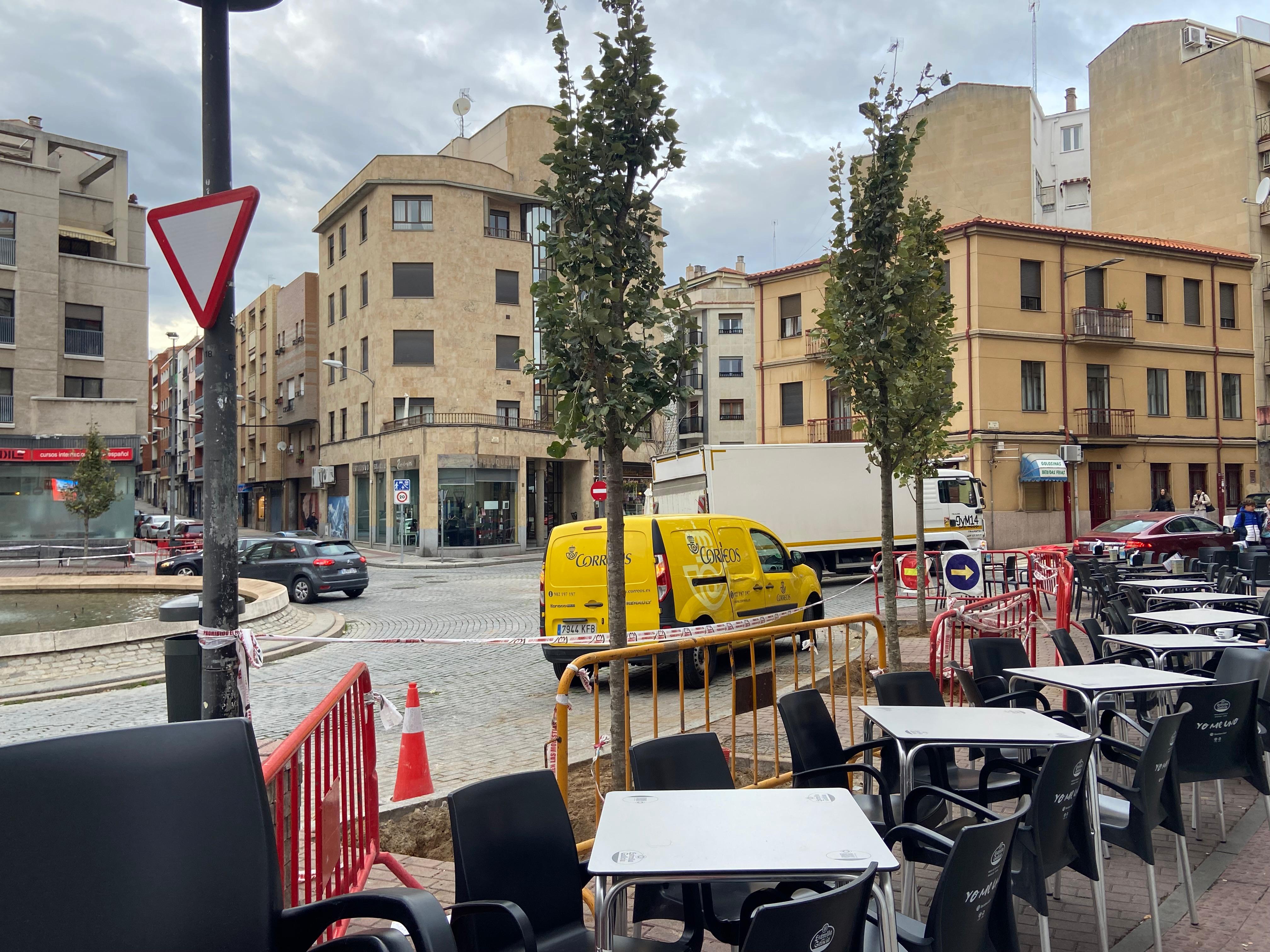 Los árboles están listos para brotar tras la polémica de su retirada hace menos de un mes en la plaza del Oeste