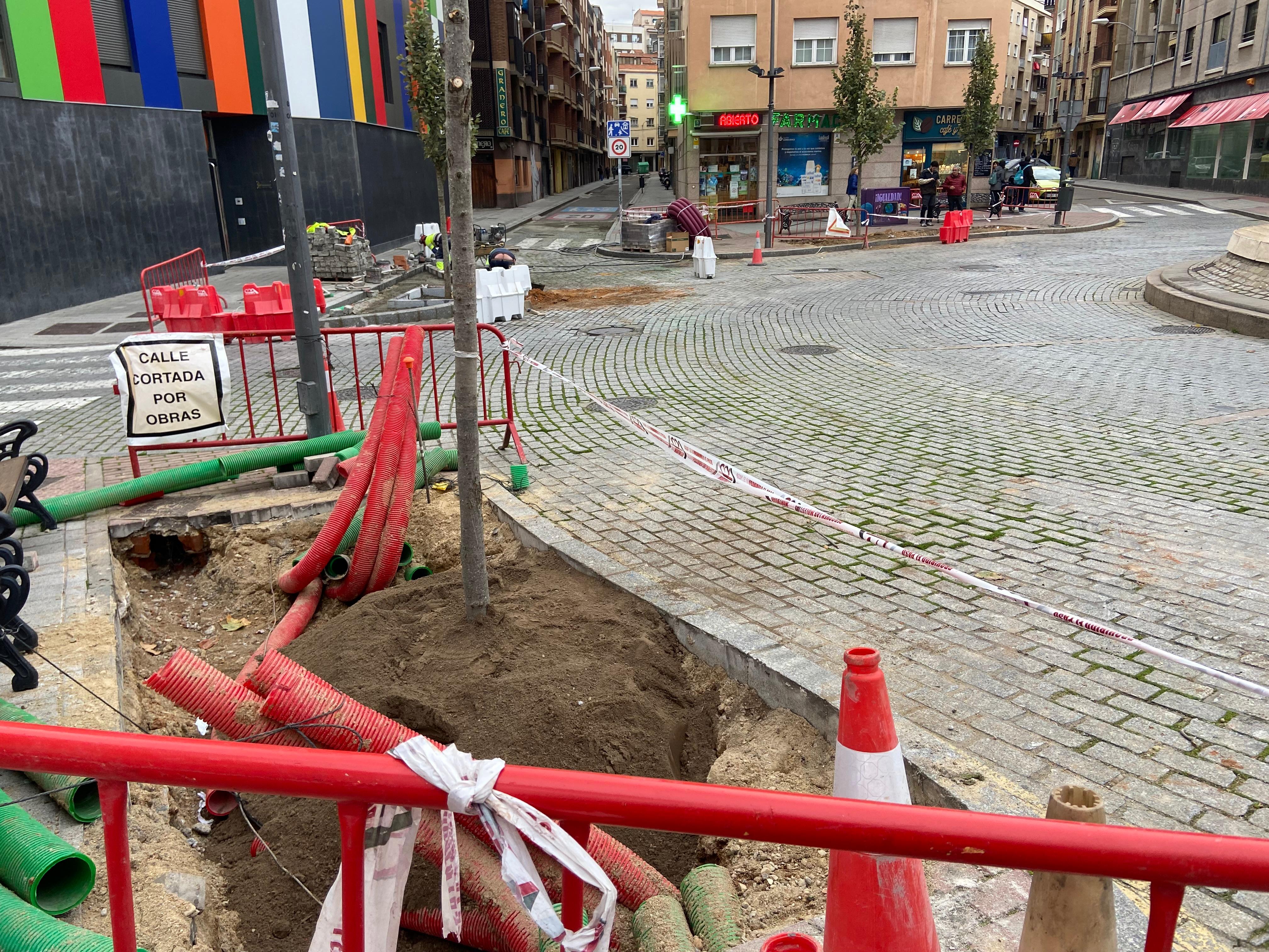 Los árboles están listos para brotar tras la polémica de su retirada hace menos de un mes en la plaza del Oeste