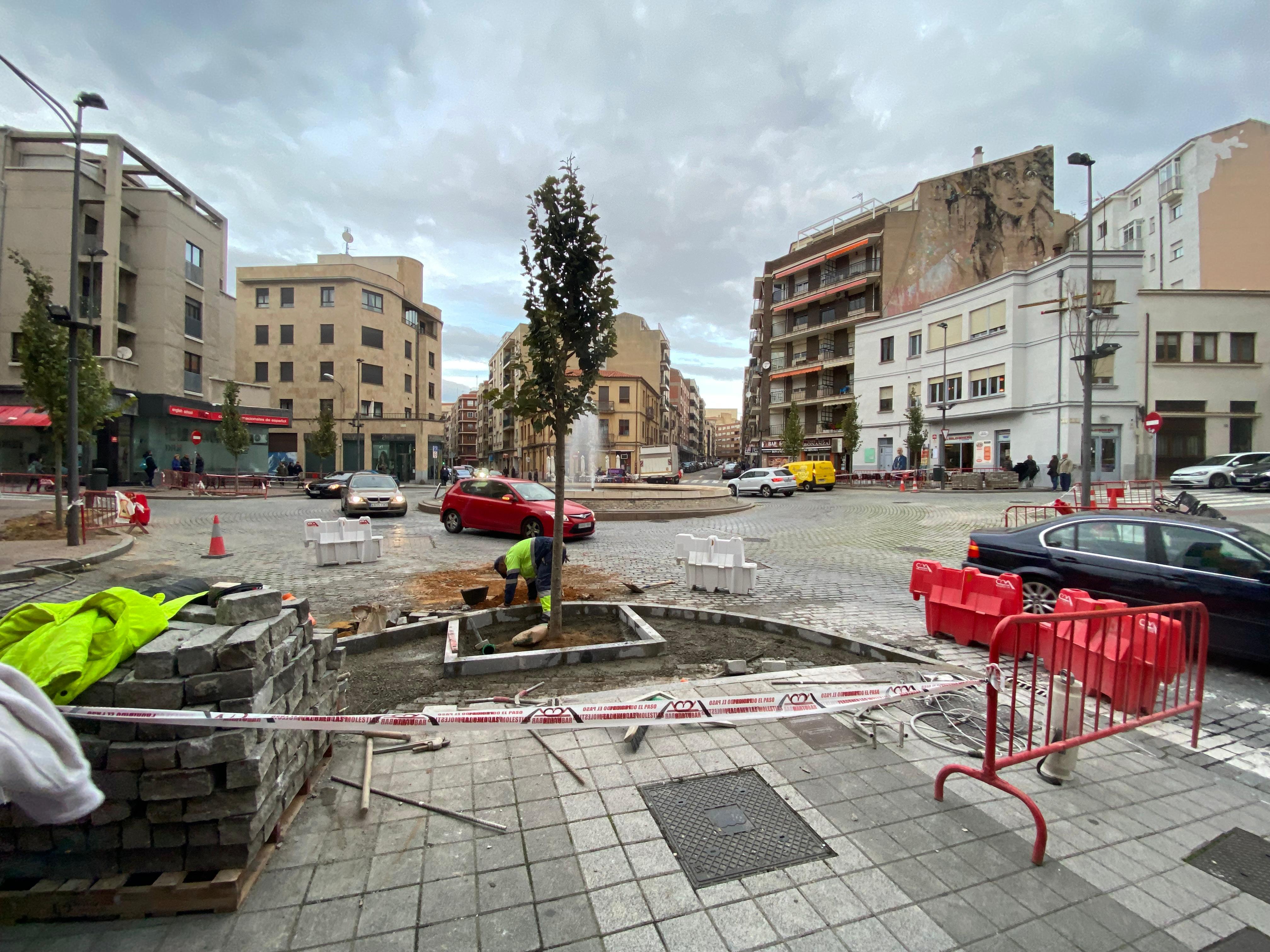 Los árboles están listos para brotar tras la polémica de su retirada hace menos de un mes en la plaza del Oeste